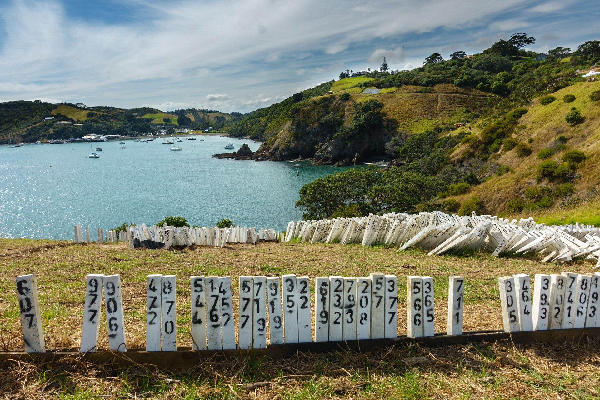On Waiheke Island; 'Sculpture on the Gulf'