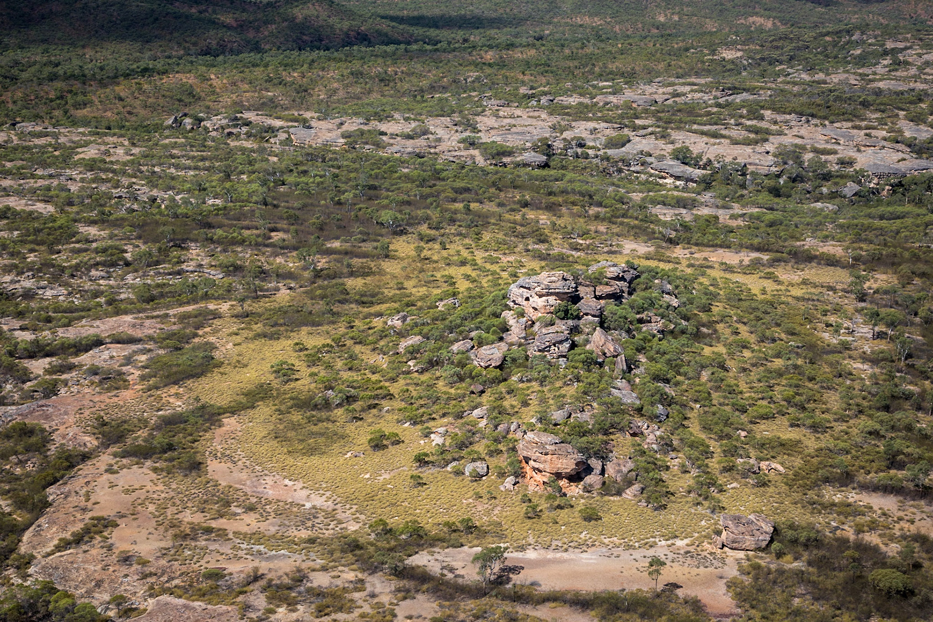 Gulf savannah sandstone