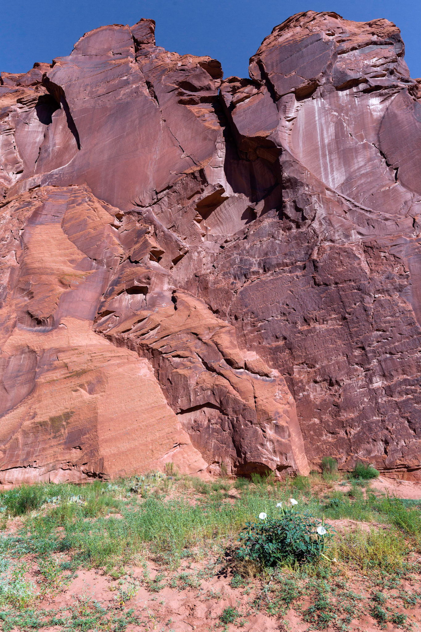 Geological components and contortions