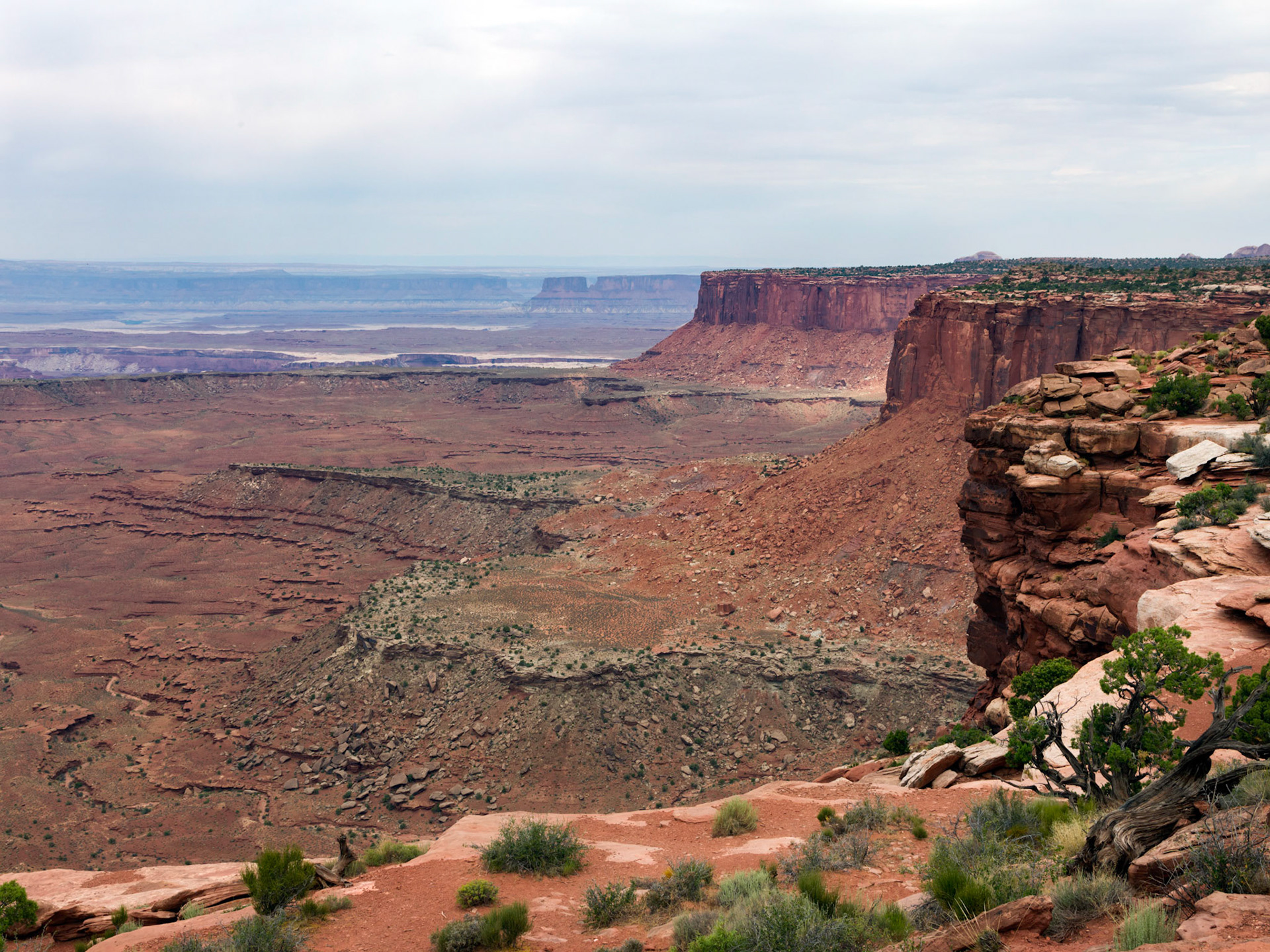 Orange Cliffs Overlook. Canyonlands National Park