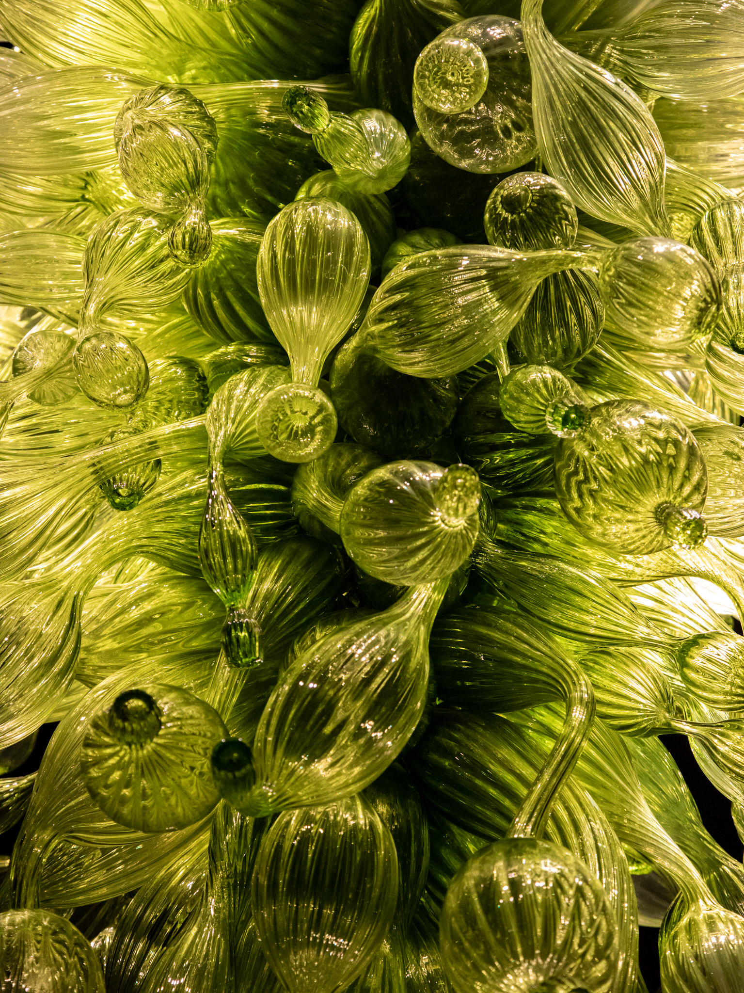 Chandeliers; Chihuly Garden & Glass