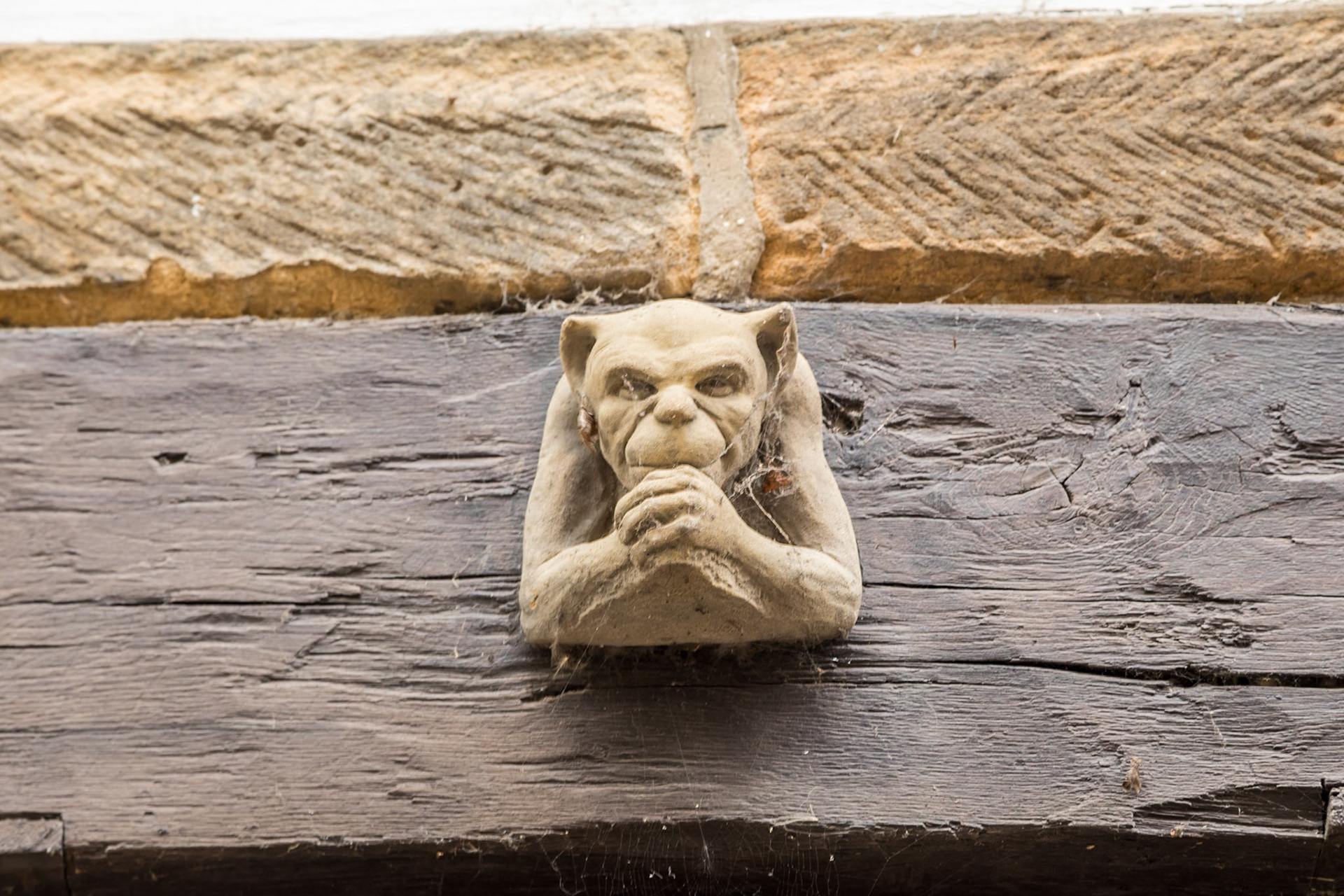 Seen in Robin Hood's Bay