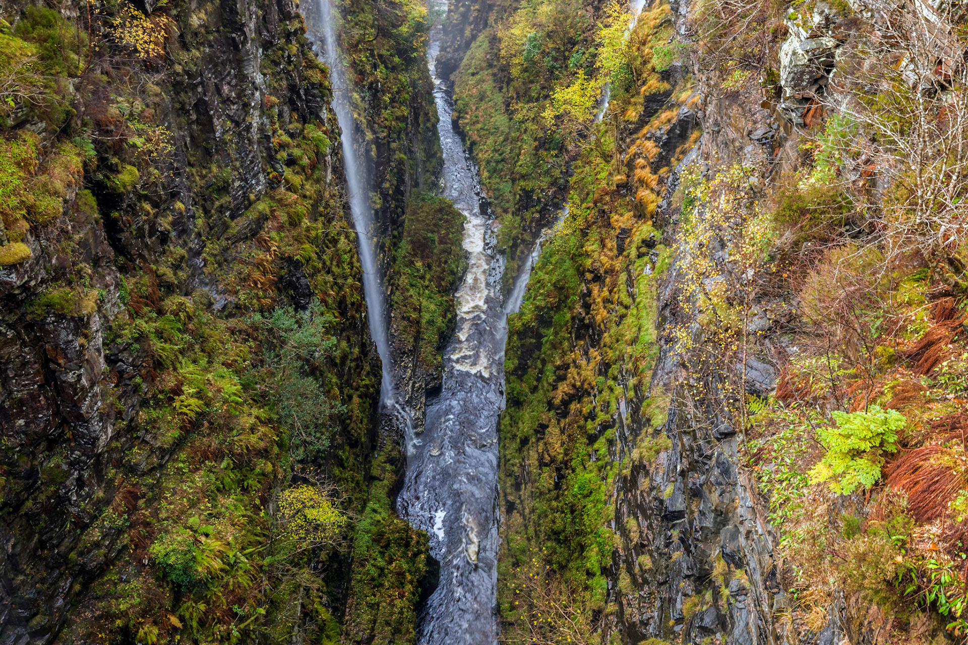 Corrieshalloch Gorge National Nature Reserve