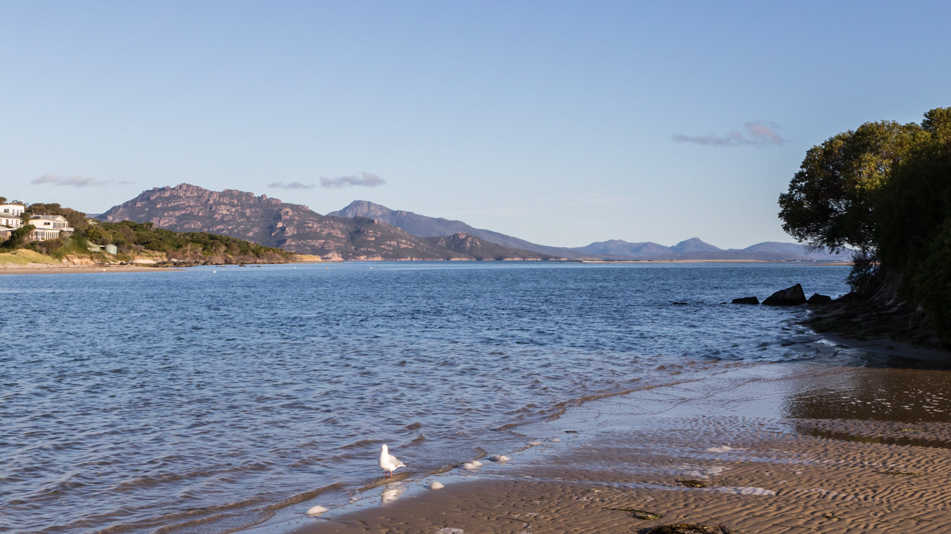 Swan River at Dolphin Sands. Opening to Great Oyster Bay. The Freycinet Peninsula is across the water.