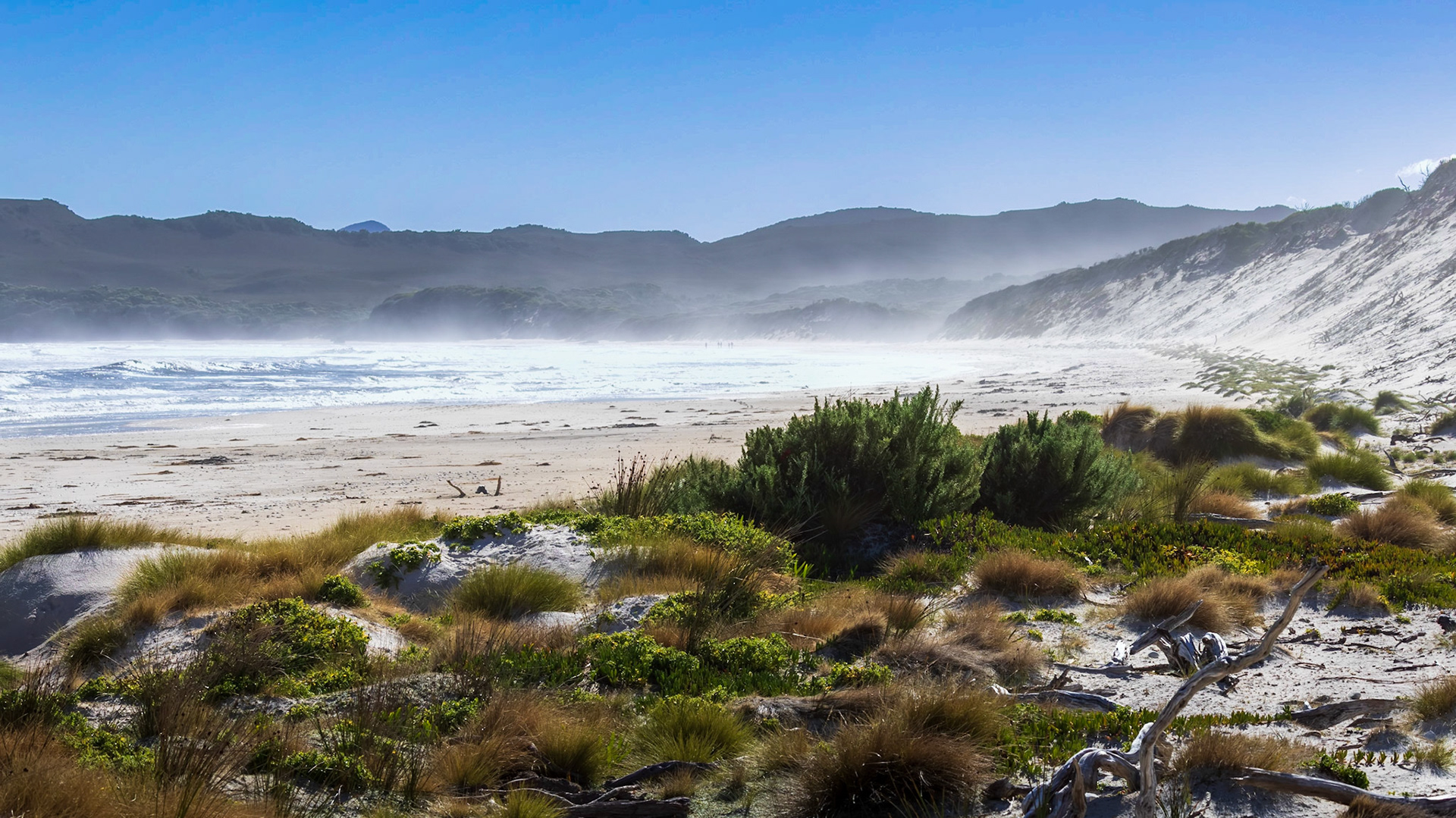 On Stephens Bay Beach.