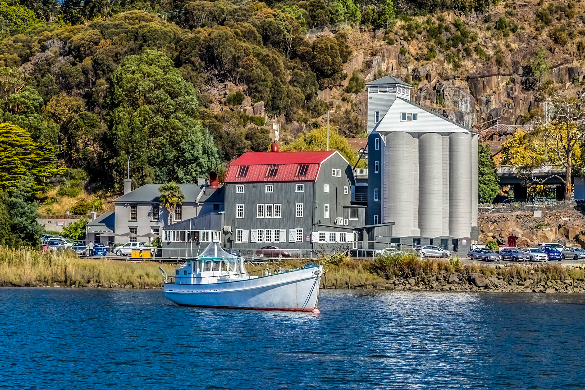 'Tamar Odyssey' river cruise