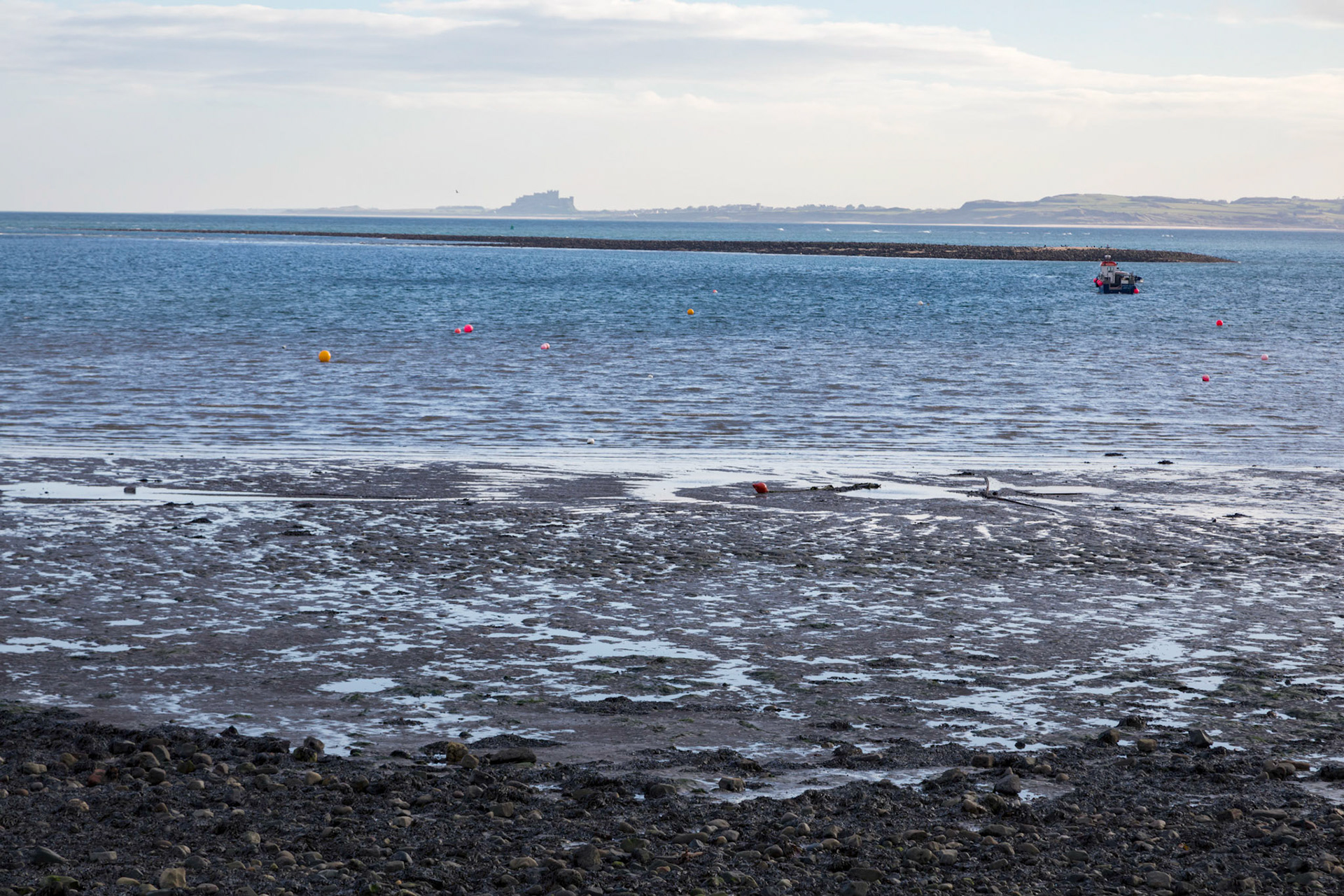 View to Bamburgh Castle, from Holy Island