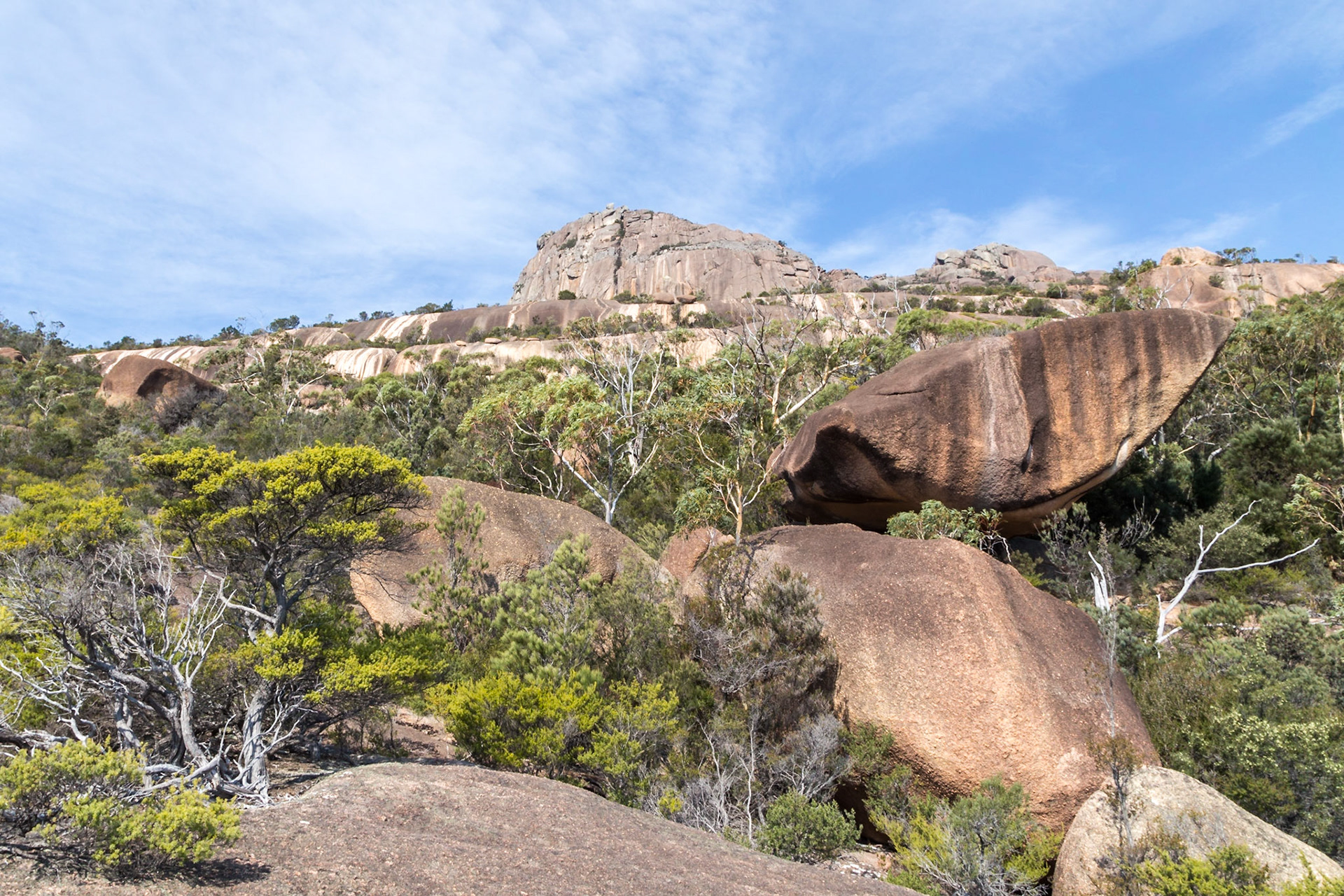 Mt Amos Ascent Terrain