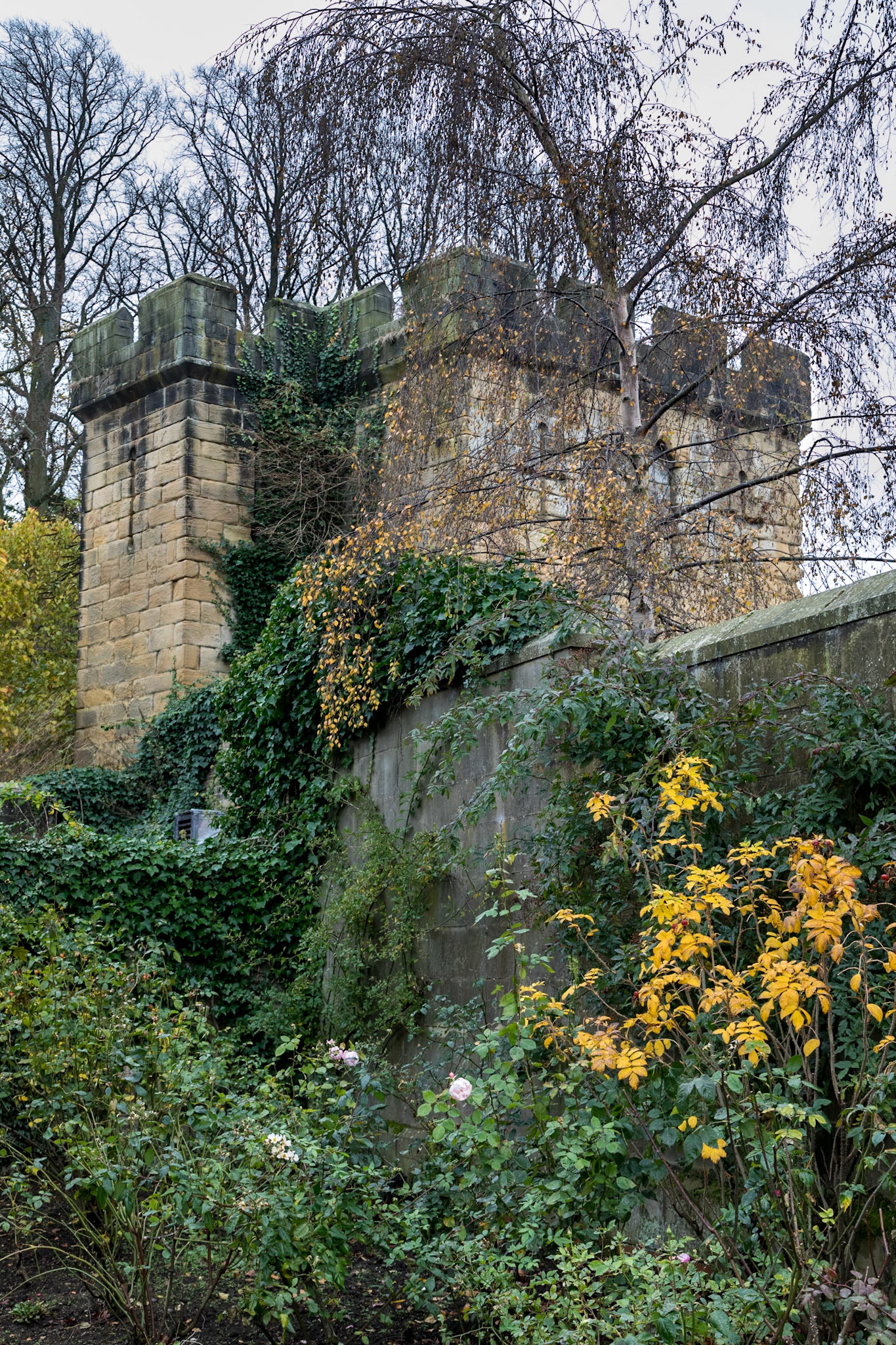 On the edge of the famous gardens of Alnwick Castle