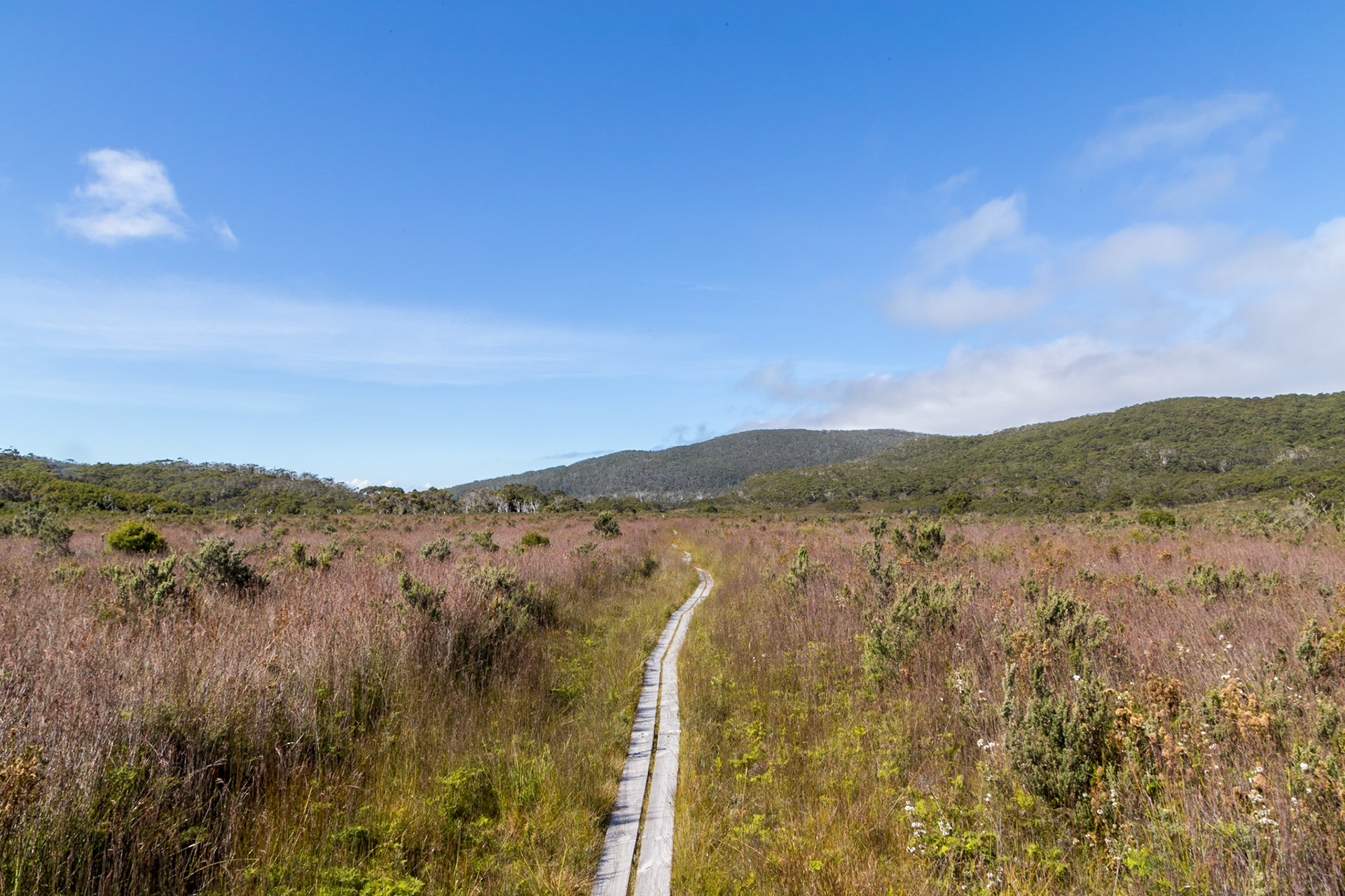 An open section of the South Coast Track. Southwest National Park