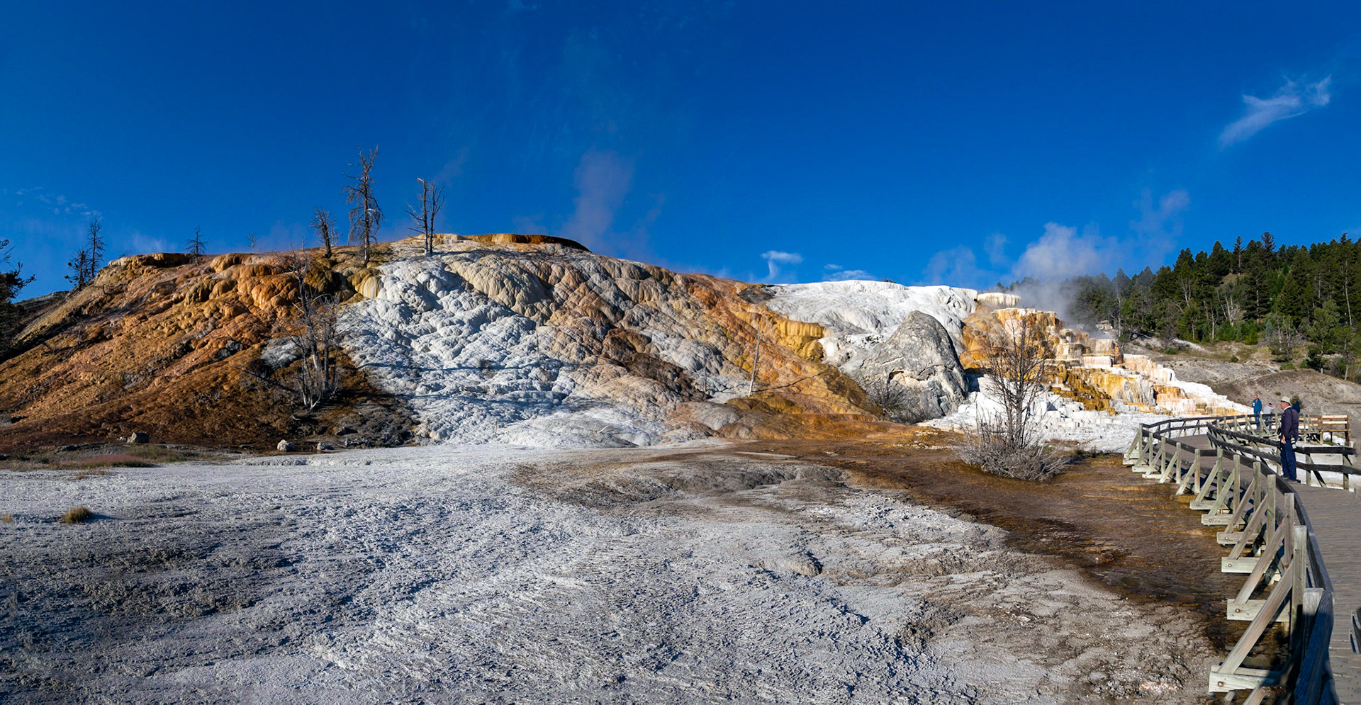 Upper Terraces, Mammoth Hot Springs. Yellowstone National Park, Wyoming.
