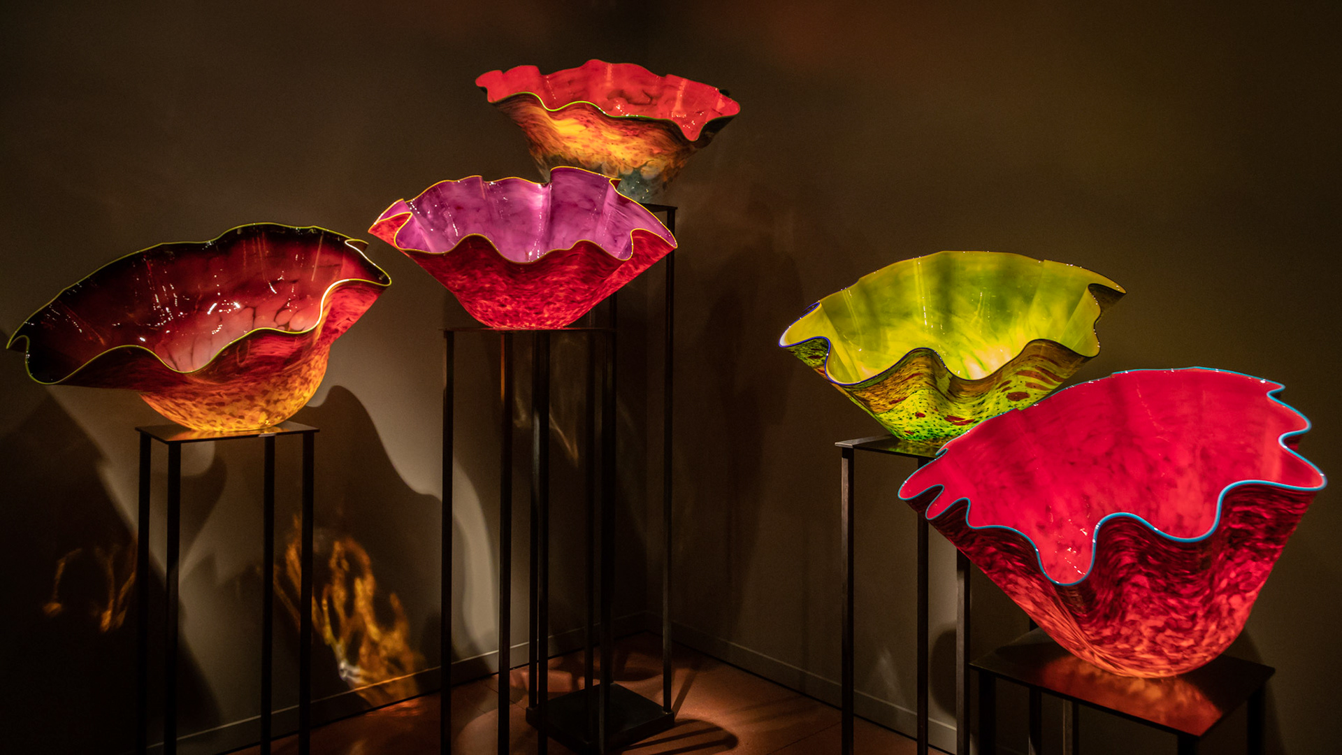 Macchia Forest; Chihuly Garden & Glass