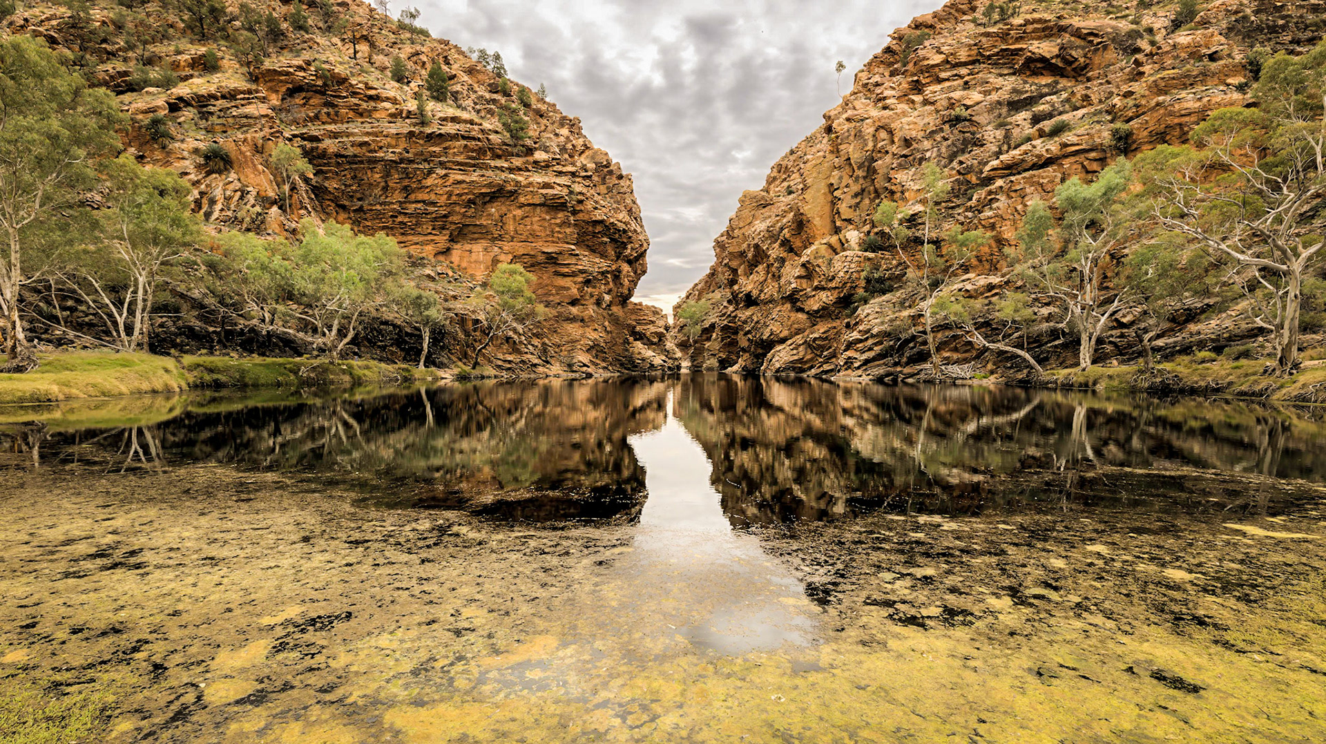 Ellery Creek Big Hole