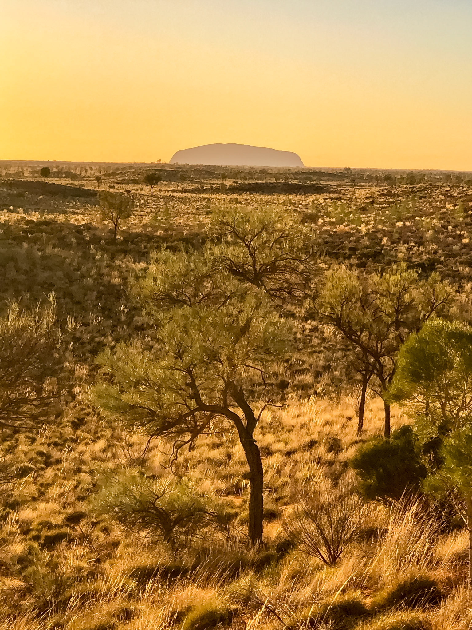 Uluru, at sunrise, from the Kata Tjuṯa Dune View (The Olgas)