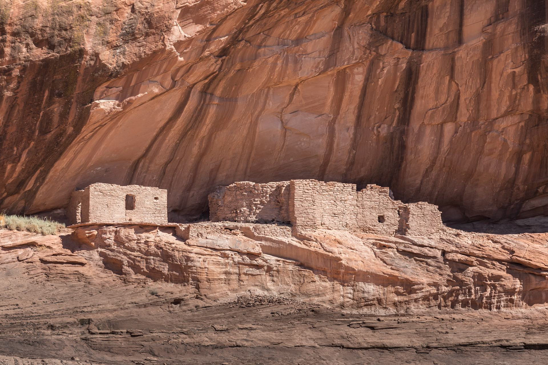 Anasazi Indian ruins, Canyon del Muerto.