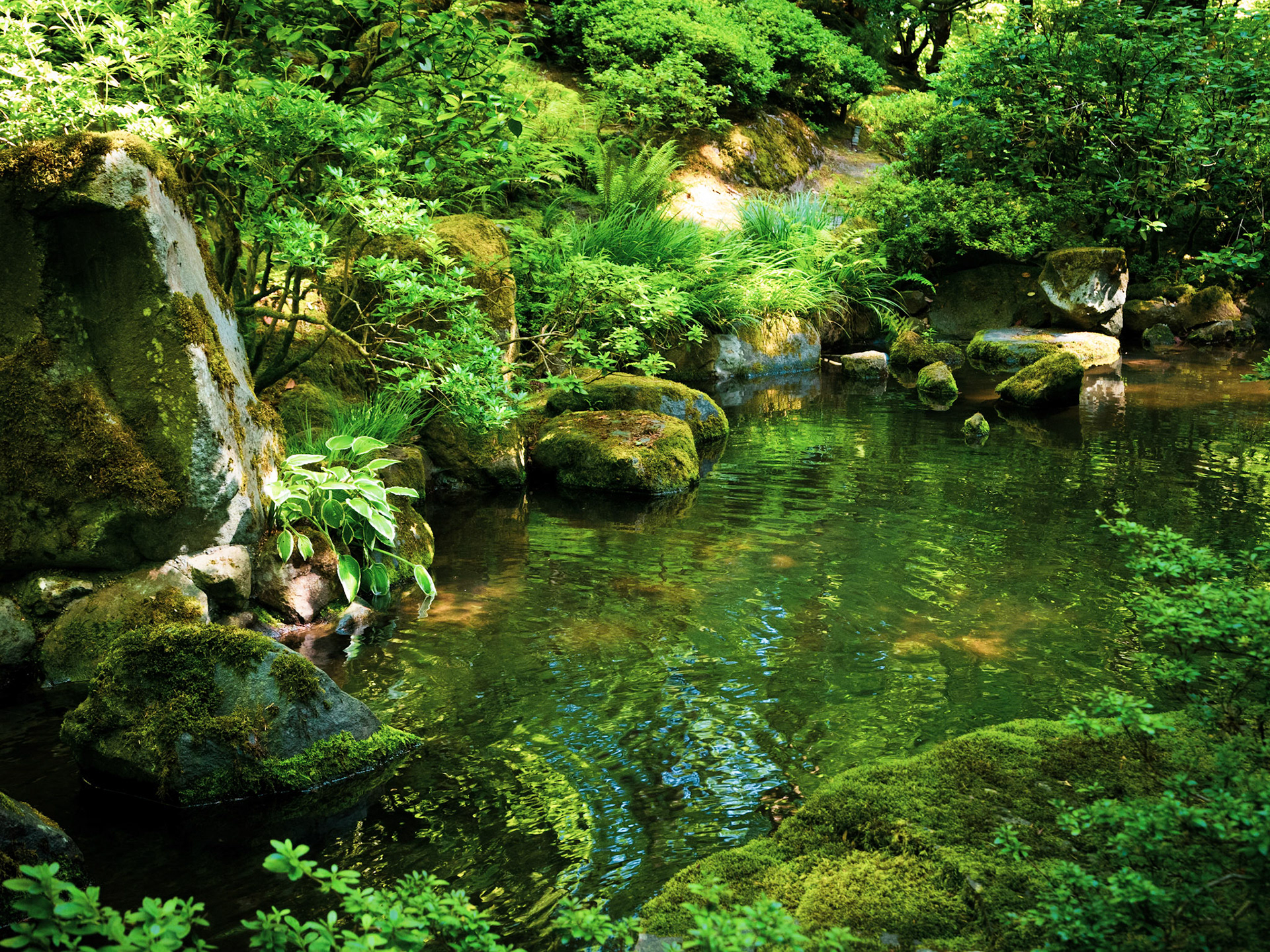 In the Portland Japanese Garden