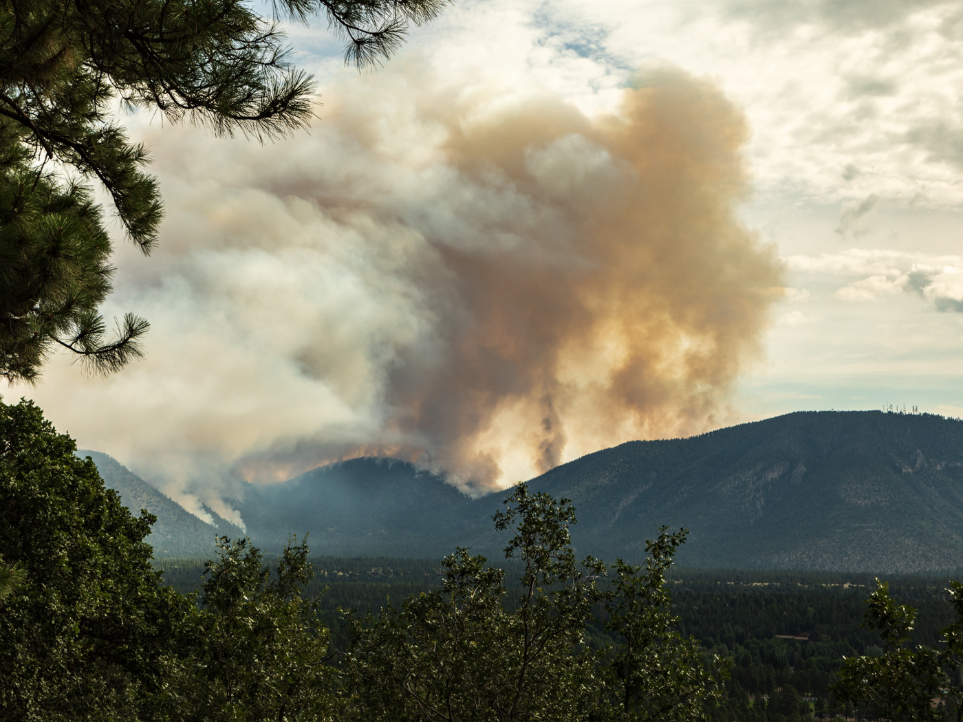 Wildfire on the edge of the city of Flagstaff.