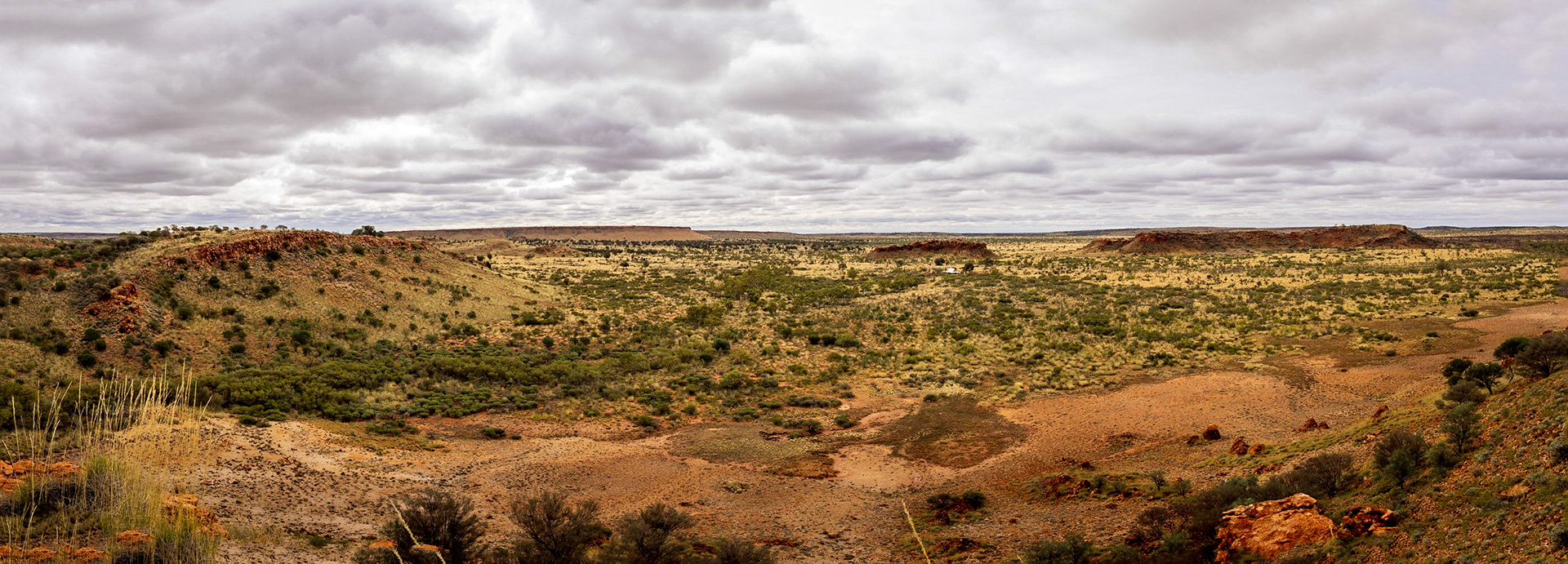 Amongst the Dovers Hills