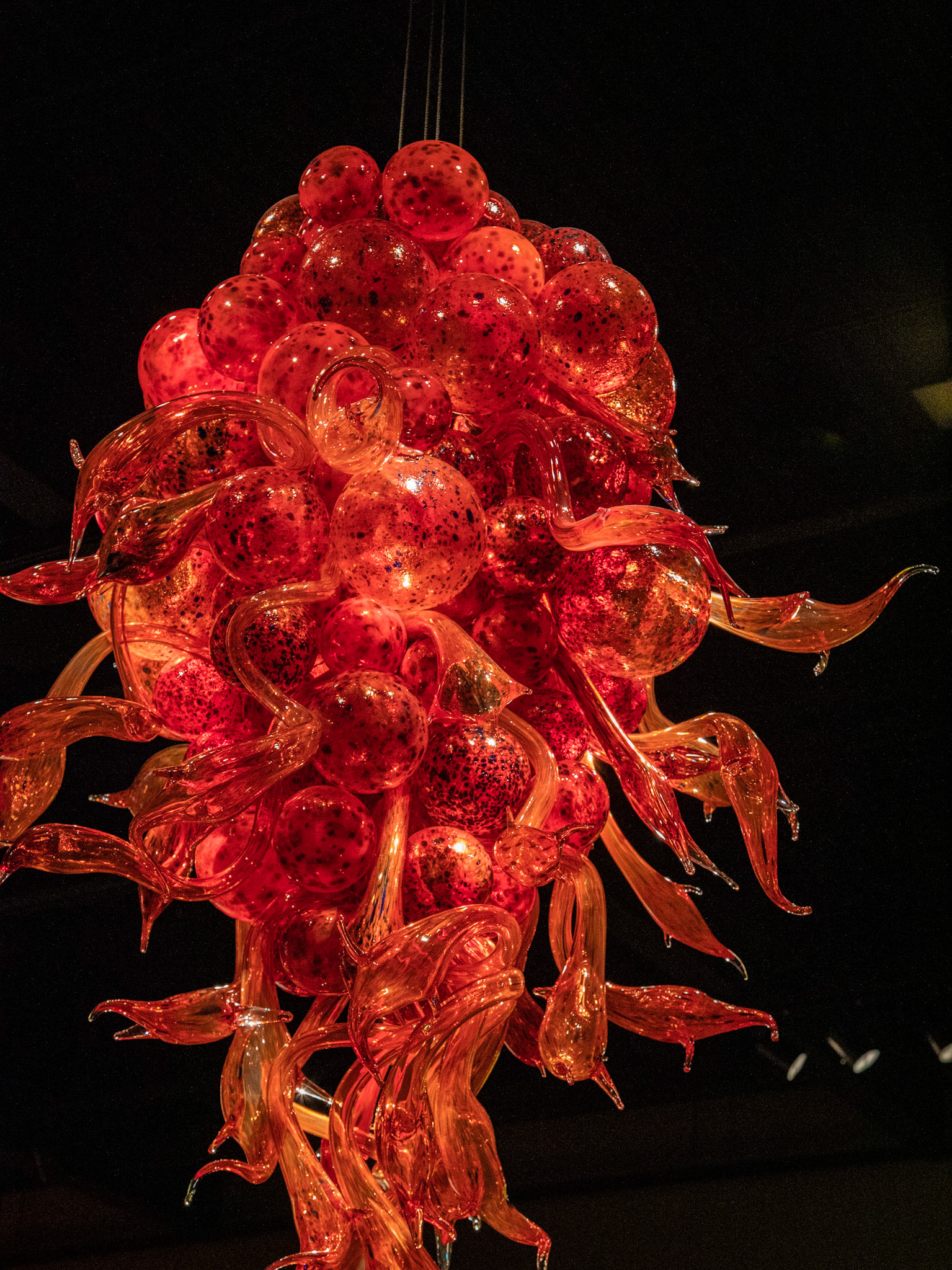 Chandeliers; Chihuly Garden & Glass