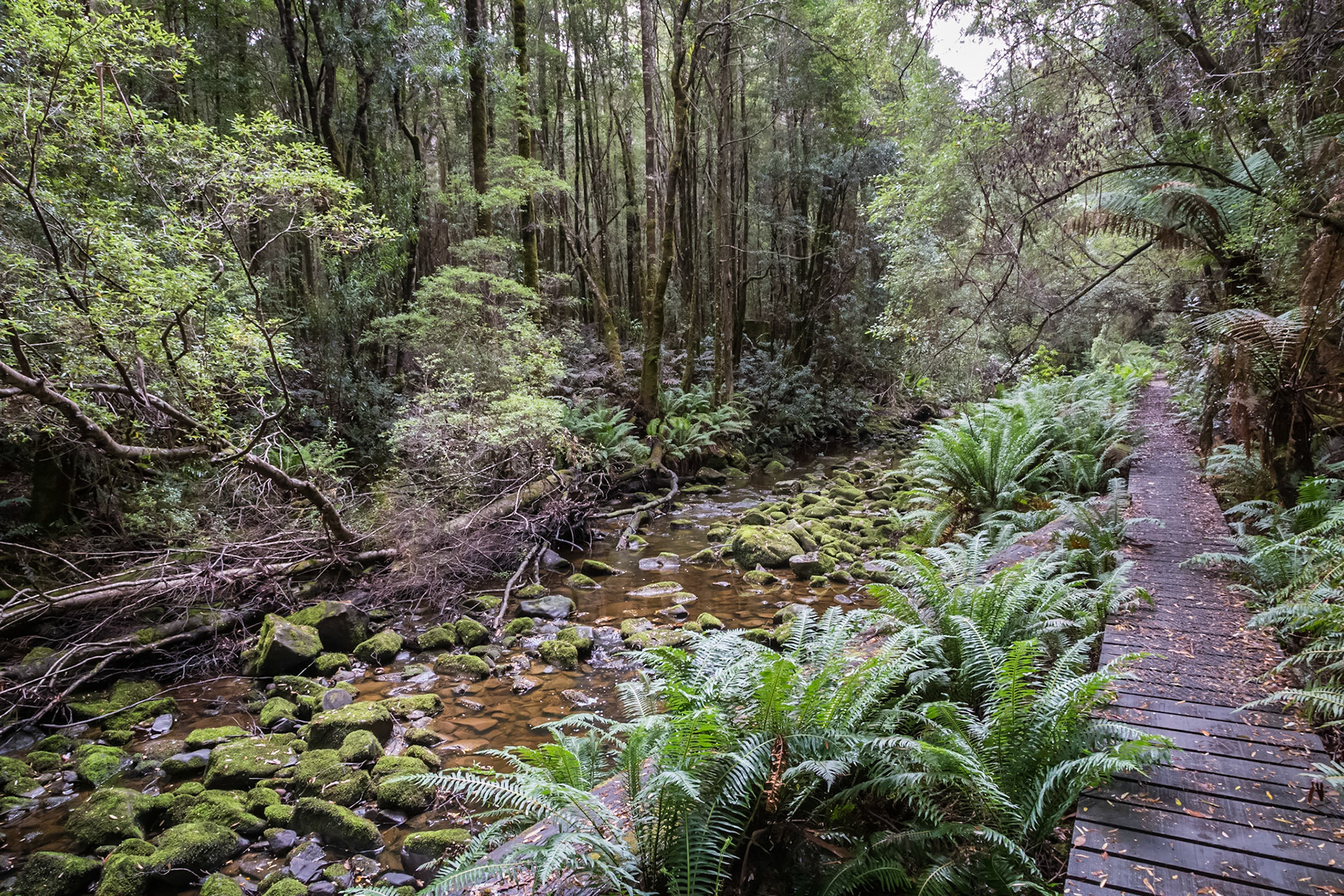 Creek alongside the trail to Duck Hole Lake