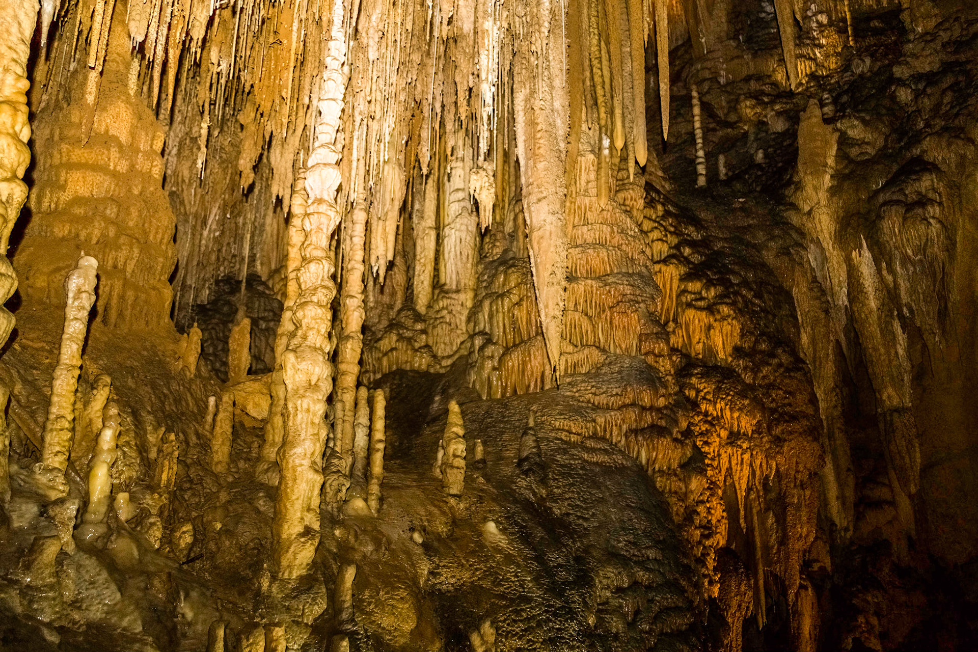 In the Newdegate Cave, one of the largest dolomite caves in the southern hemisphere.