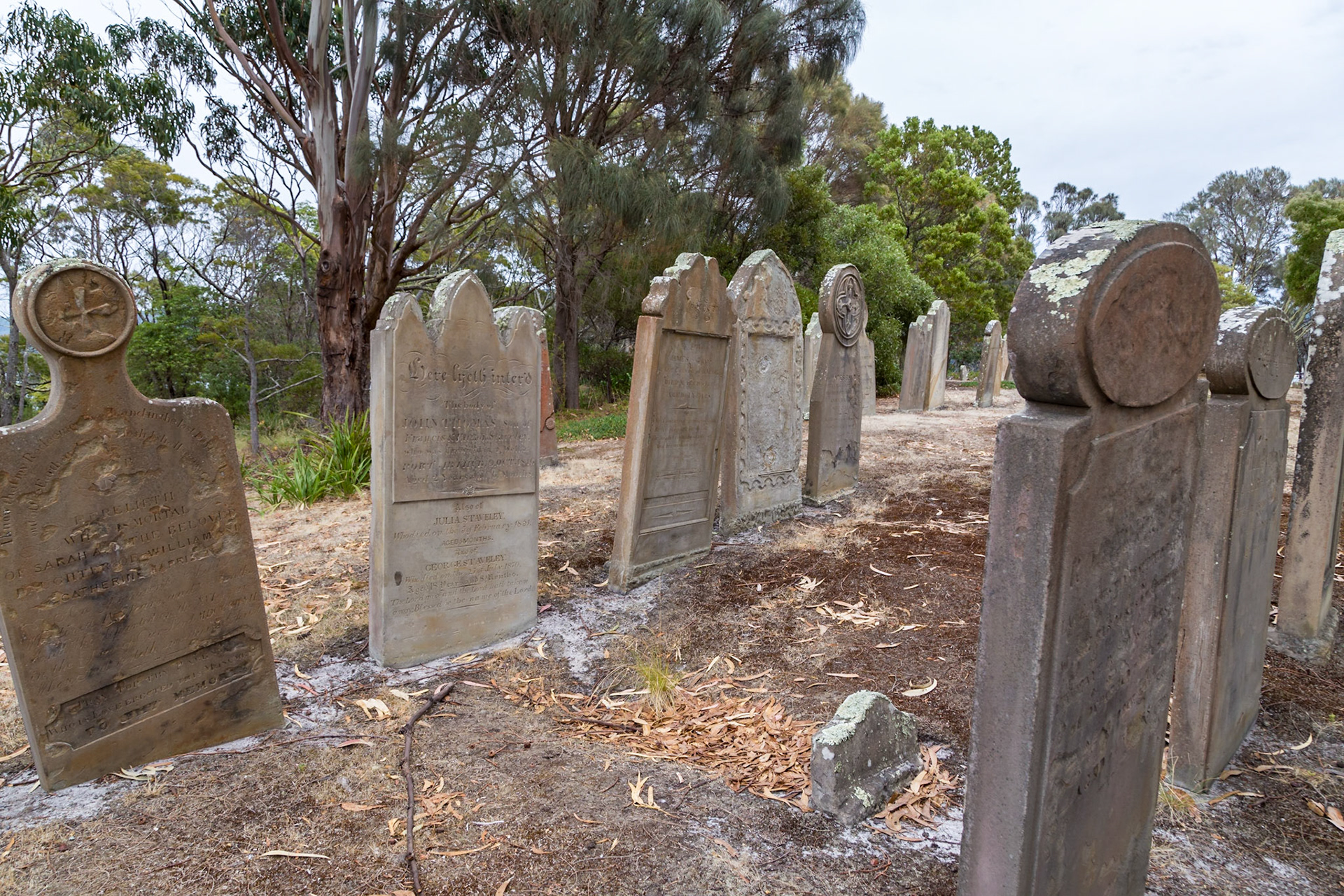 On the Isle of the Dead. Port Arthur Historic Site