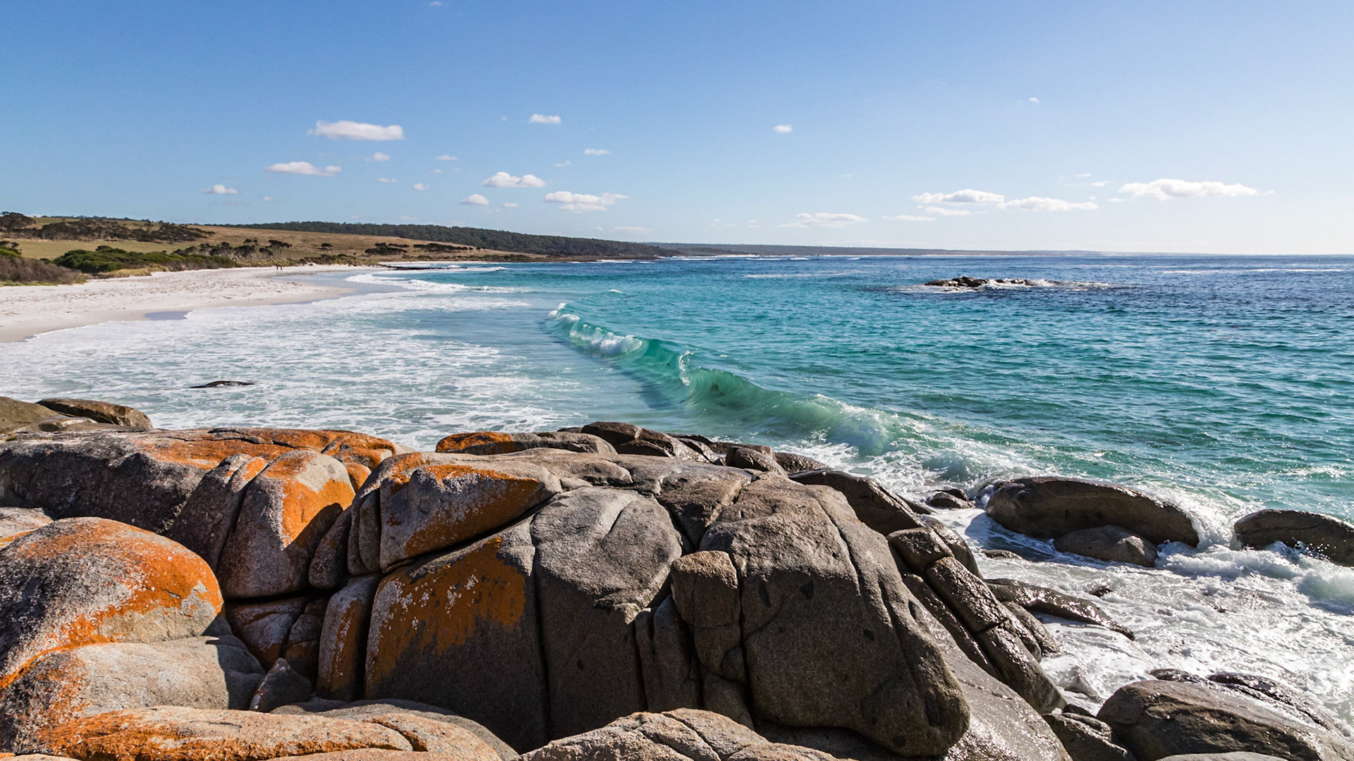 Bay of Fires - White sands and colourful lichen on coastal boulders