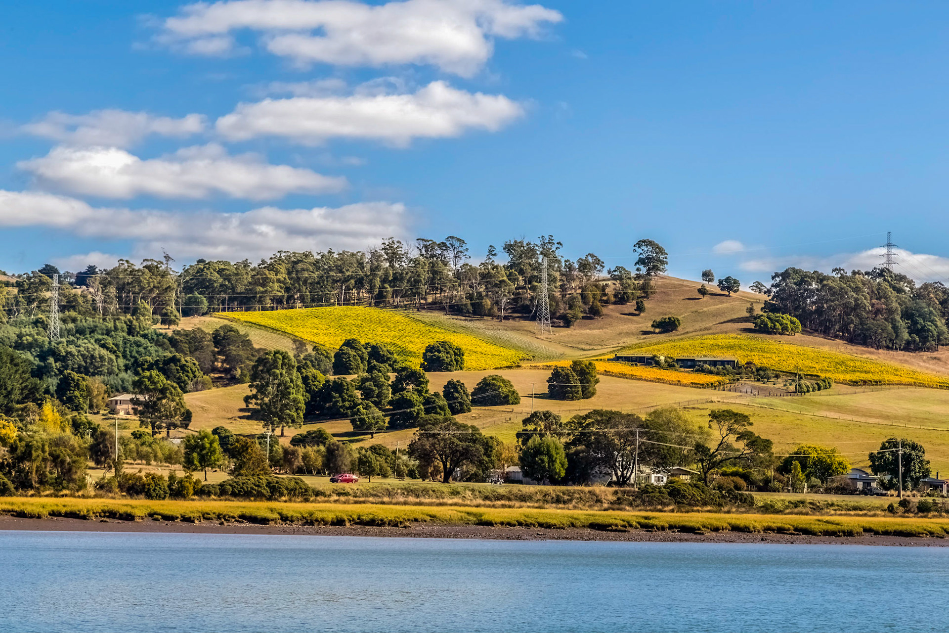 'Tamar Odyssey' river cruise