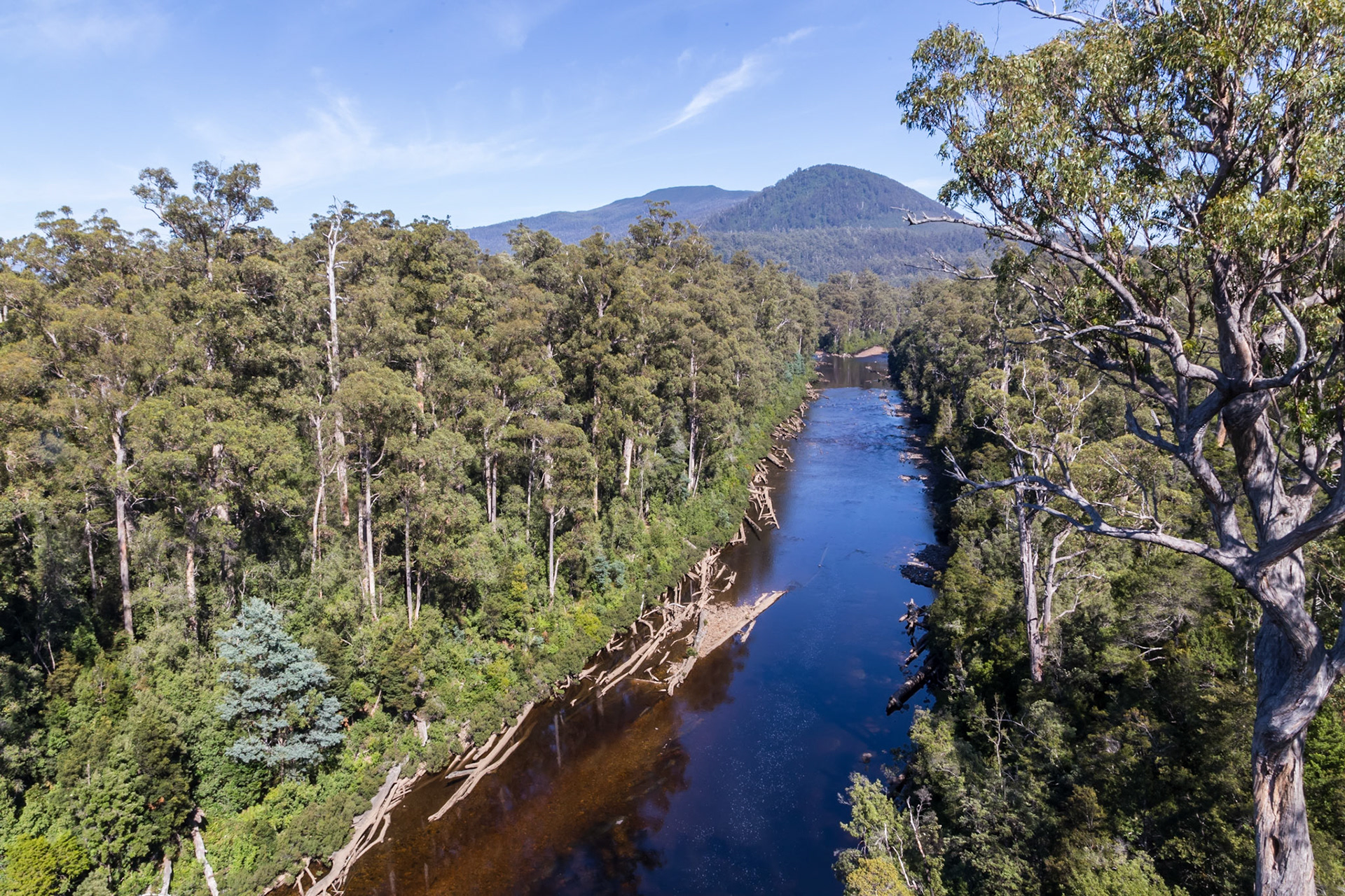 Huon River, from the Tahune Airwalk