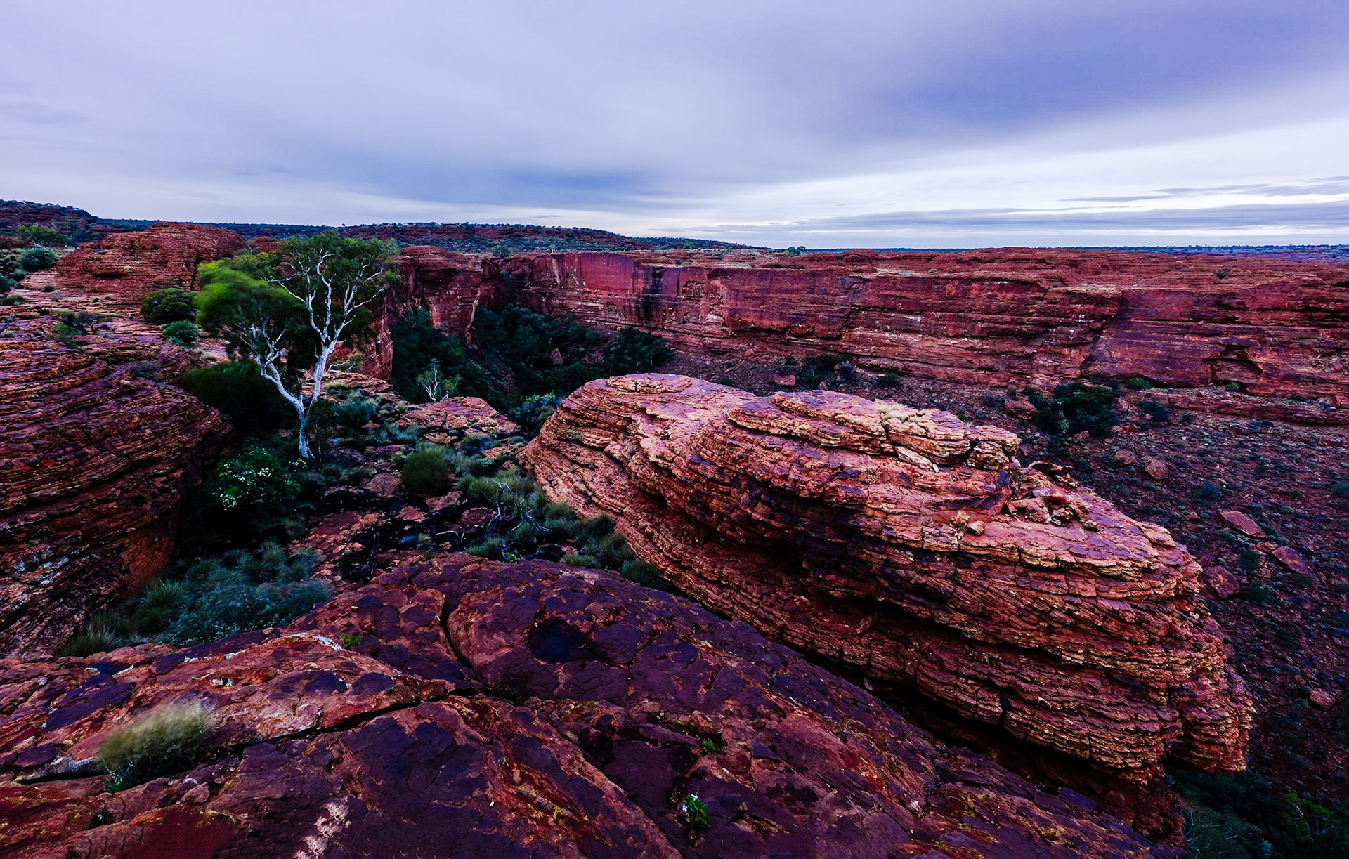 Sunrise shoot at Kings Canyon Rim Walk: waiting for sunrise.