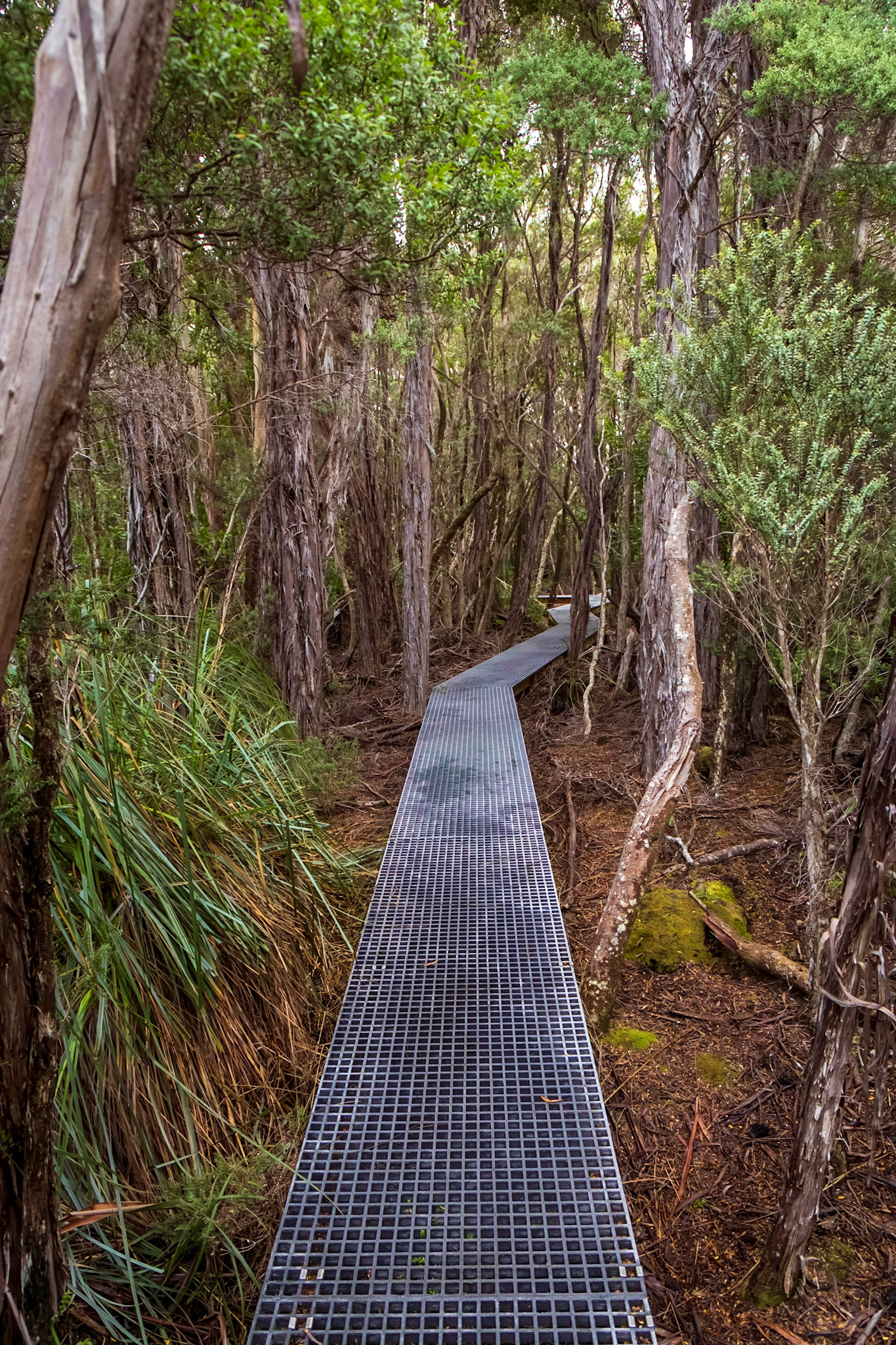Needwannee Walk