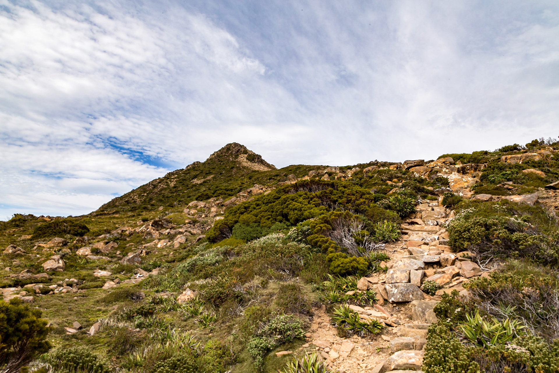 Hartz Peak trail, Hartz Mountains National Park