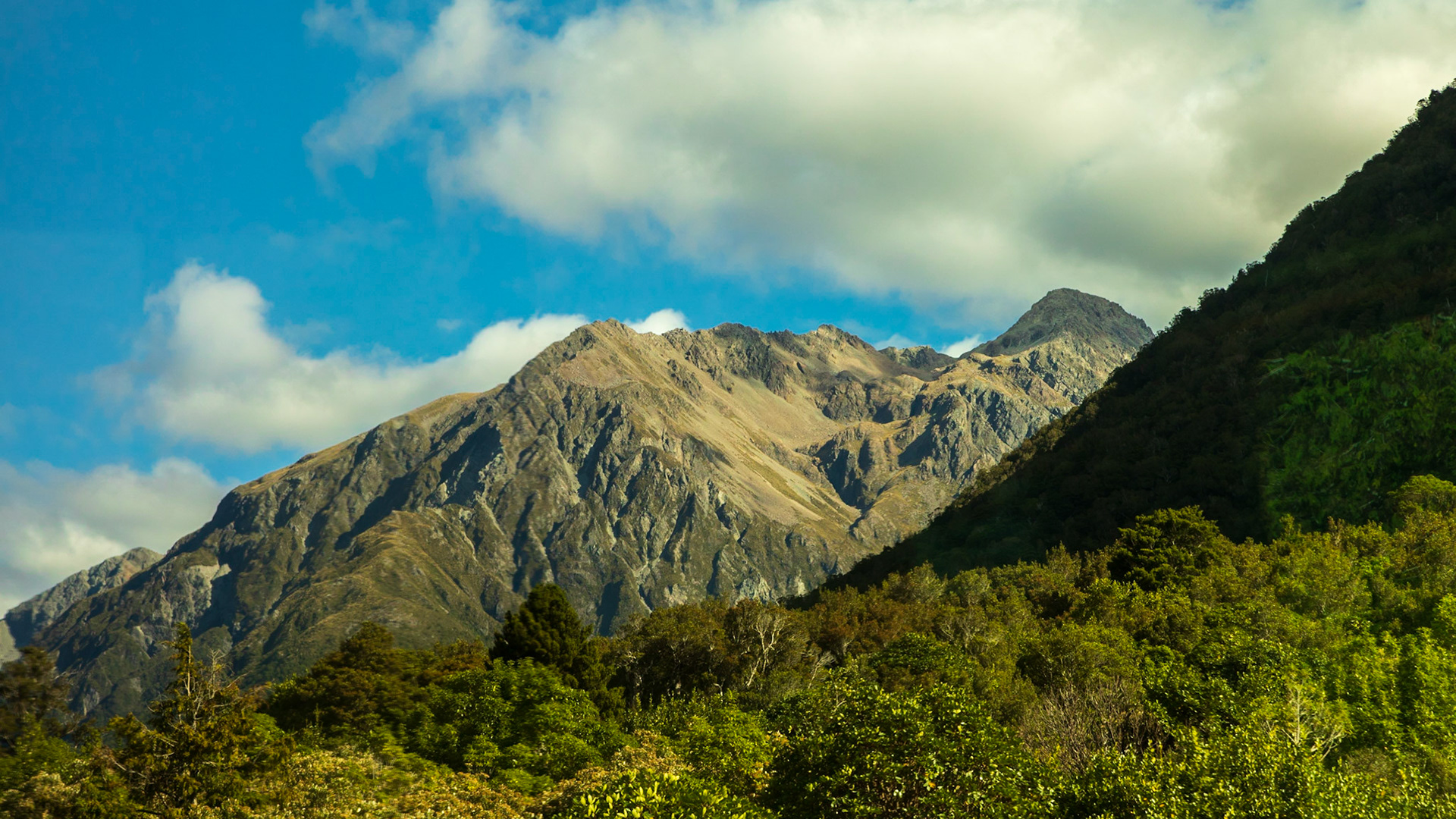 A view from the TranzAlpine train 