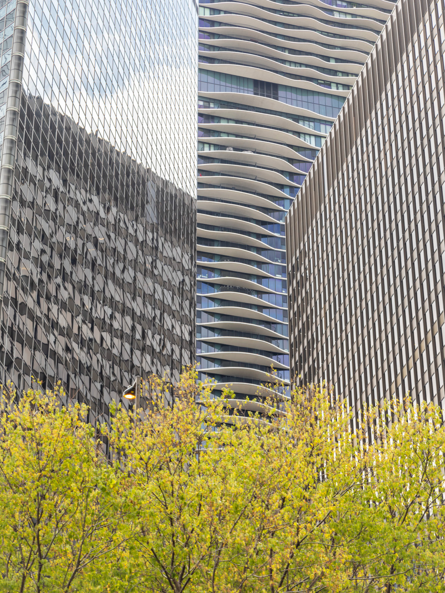 A View from the Chicago River