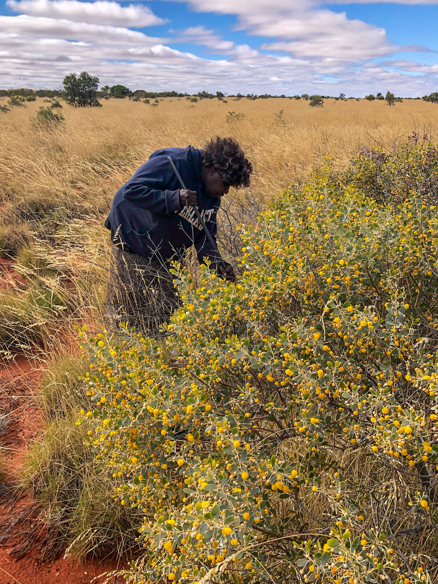 Yukultji Napangati (Pintupi Nine)