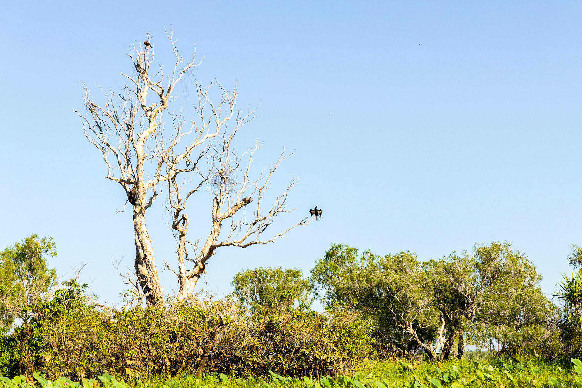 Kakadu National Park