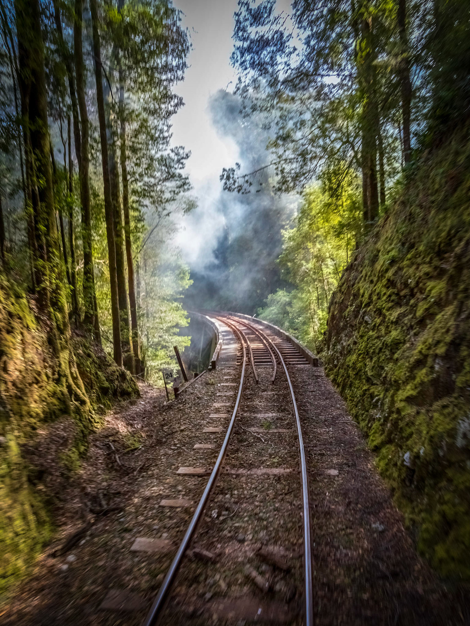 West Coast Wilderness Railway
