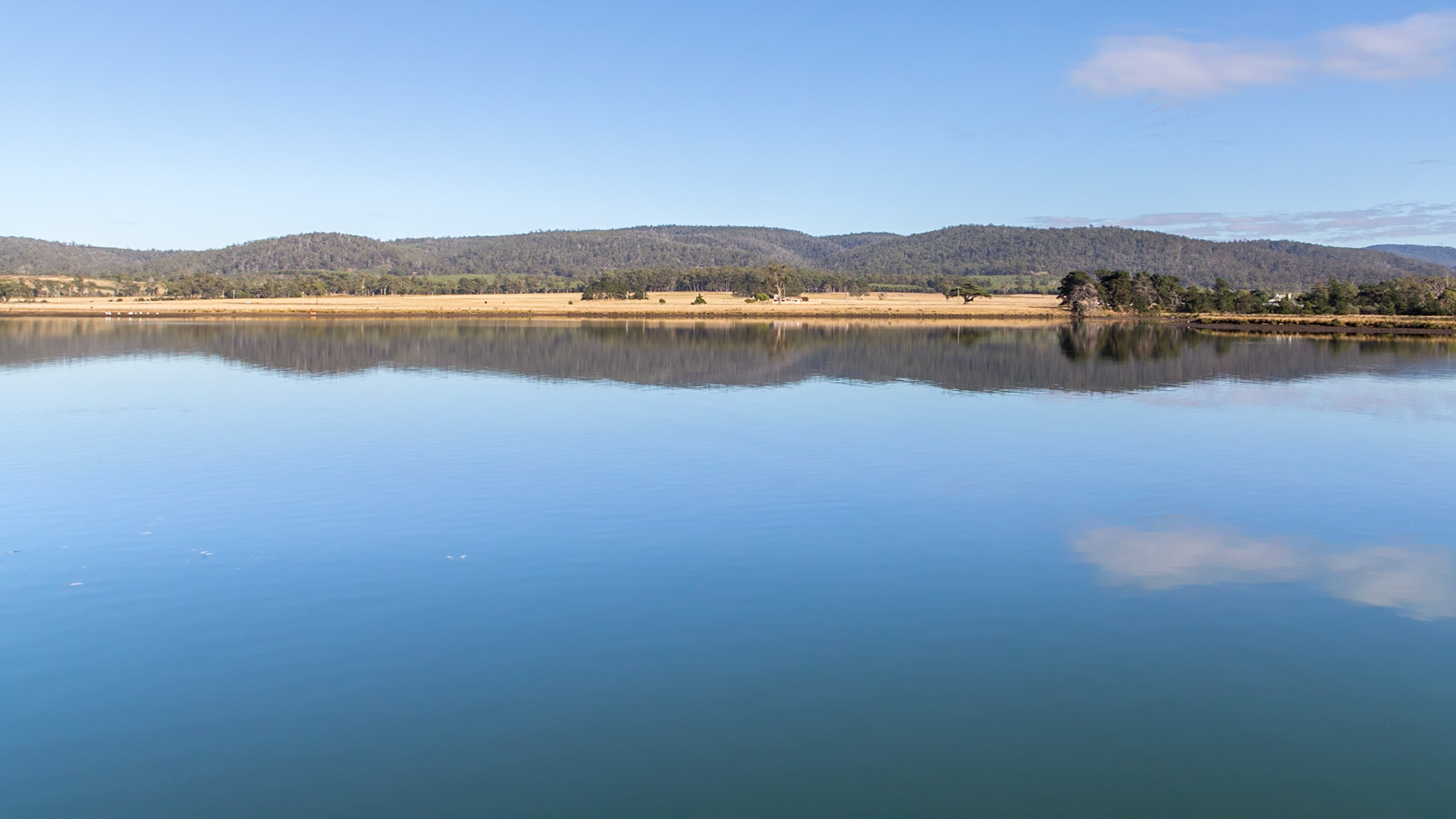 Triabunna. In Spring Bay, heading out to Maria Island