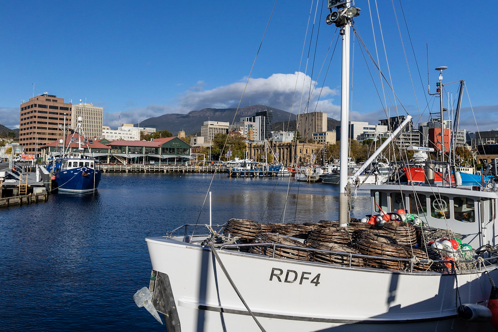 Hobart Harbour; fishing boats.