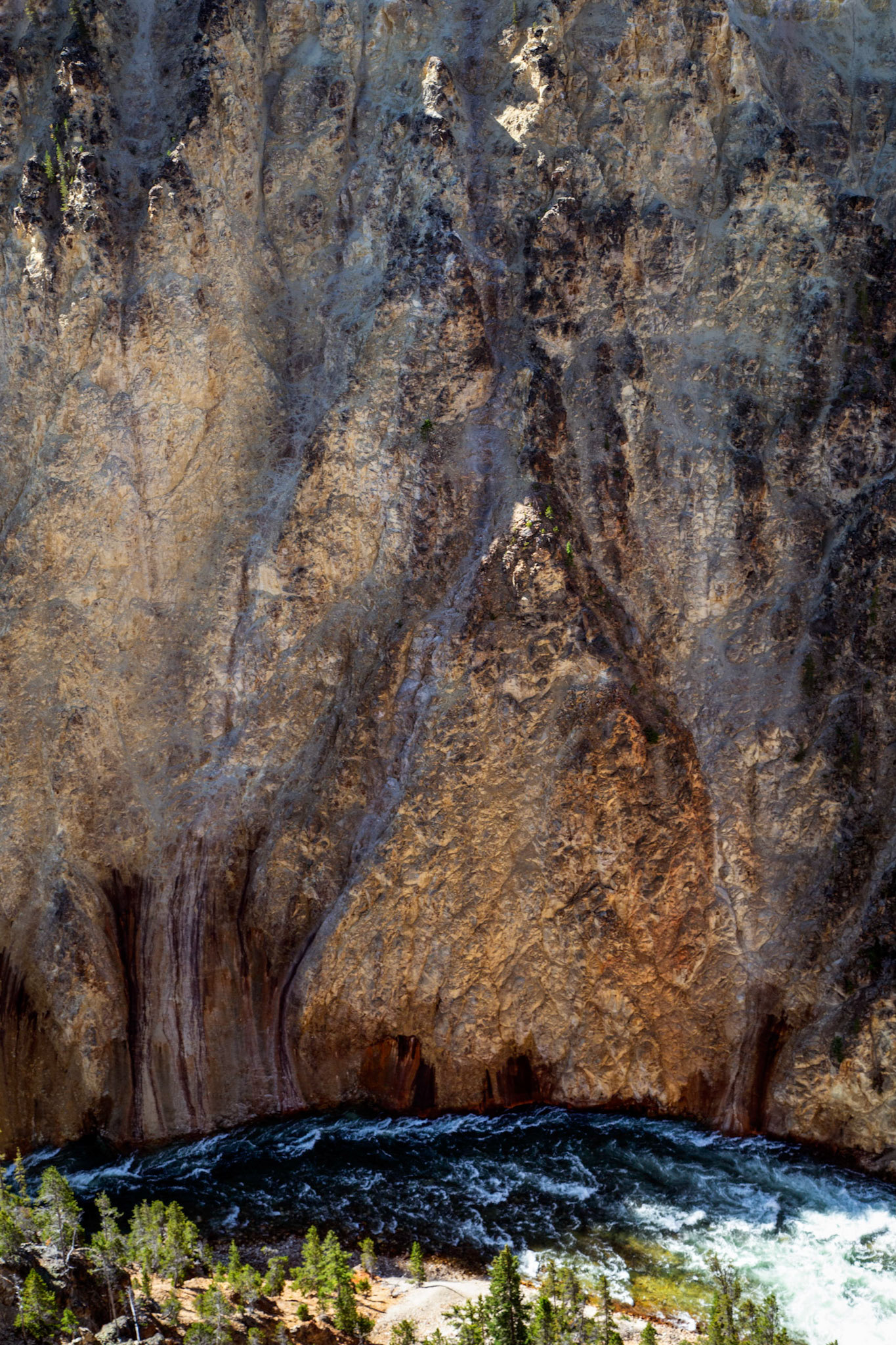 Grand Canyon of the Yellowstone