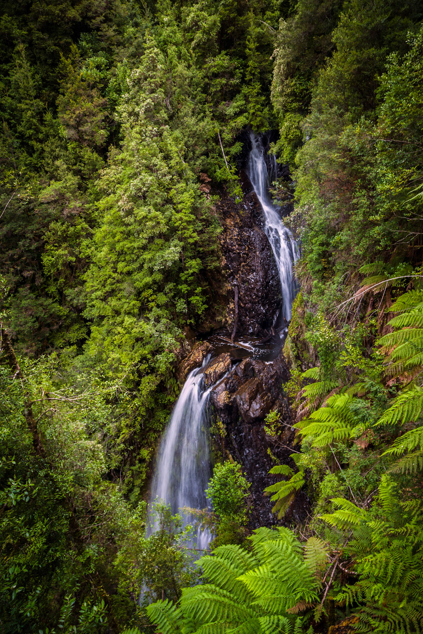 Philosopher Falls, near Waratah.