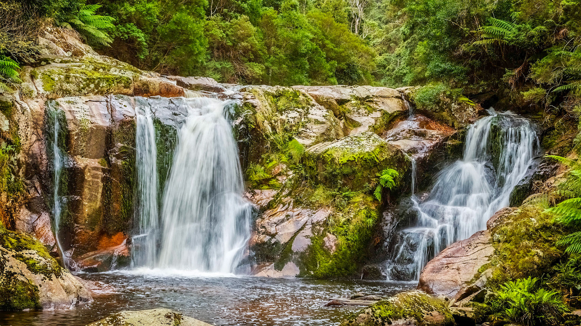 Halls Falls, Groom River