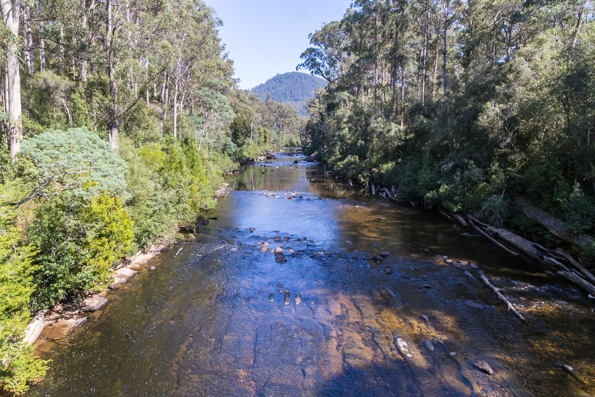 Picton River, looking upstream from the swinging bridge