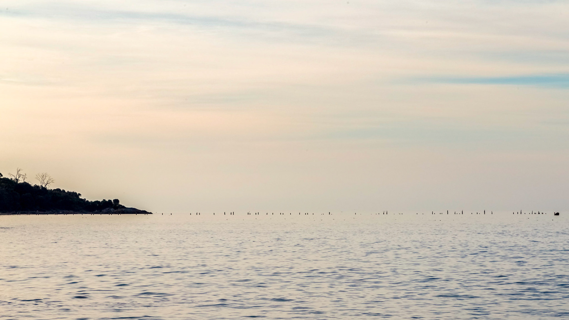 Bridport, late afternoon at old pier piles
