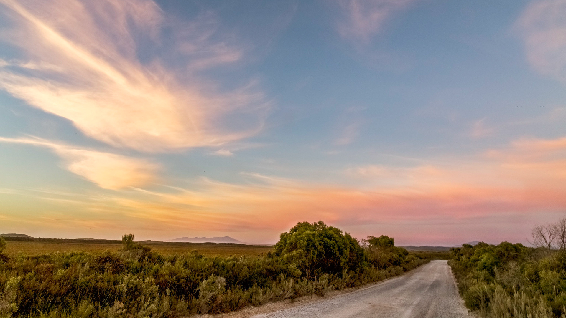Macquarie Heads Road