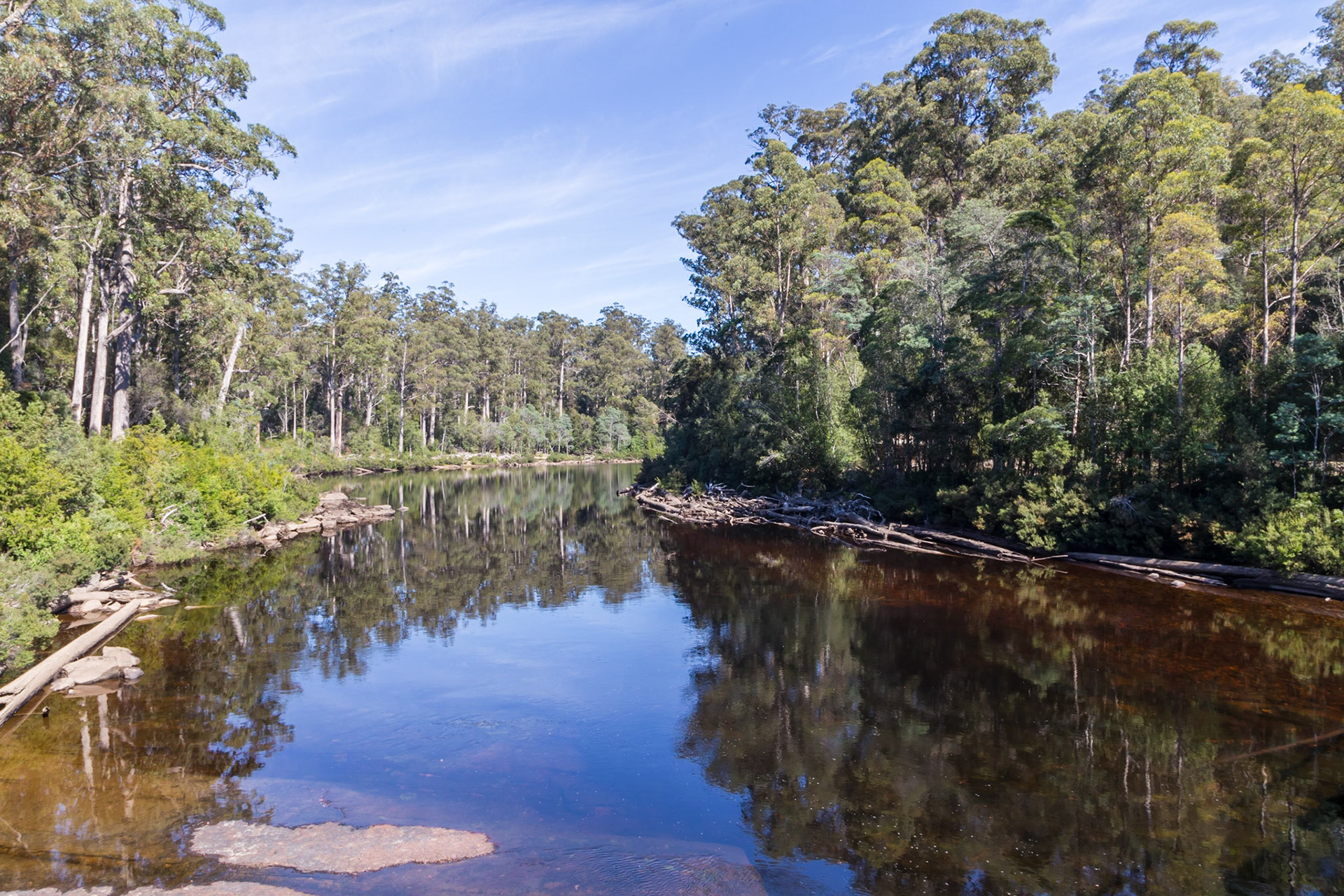 Huon River. From the Tahune Bridge
