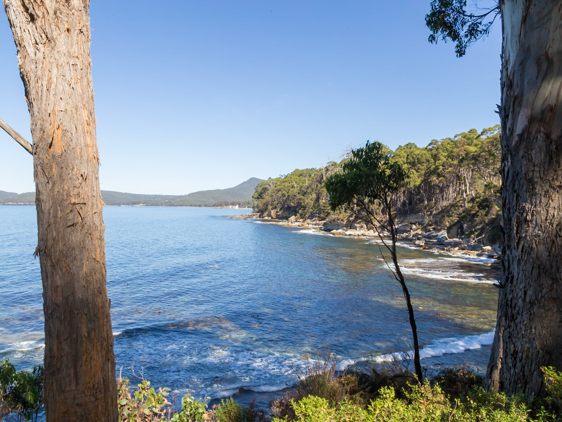 Coal Point on South Bruny. Adventure Bay