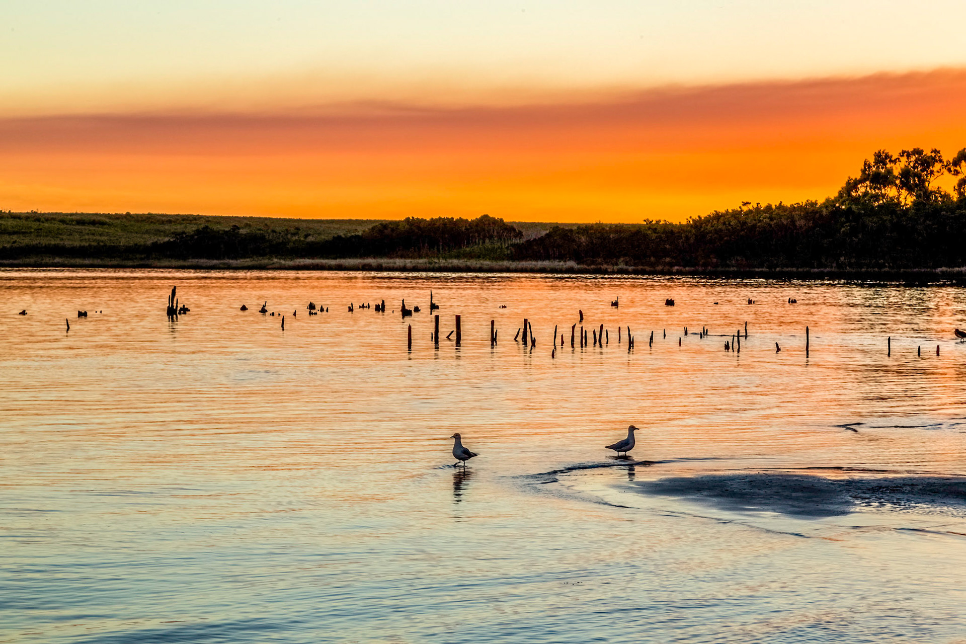 Dusk on Macquarie Harbour, Strahan