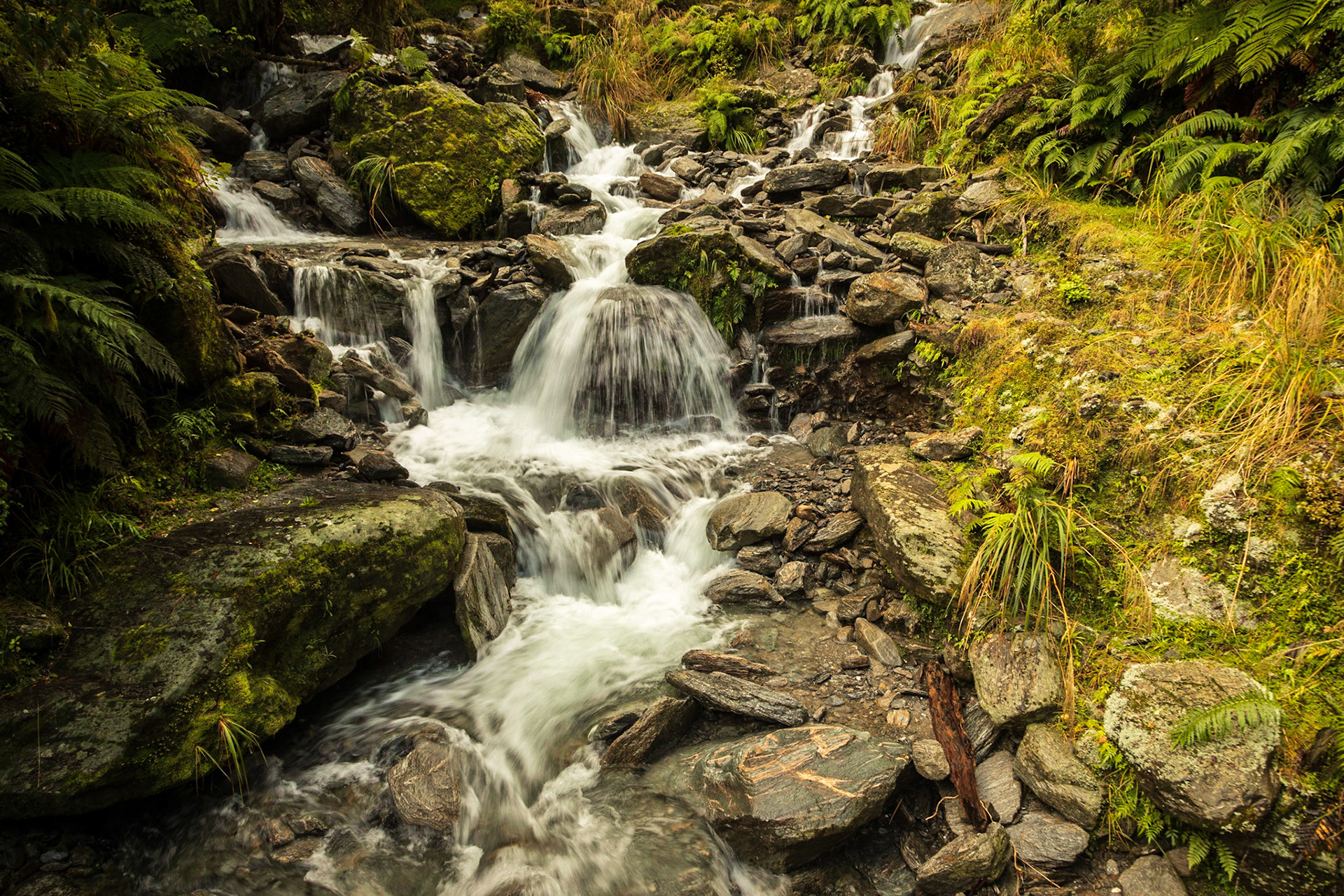 A mountain brook flowing to the Callery River 