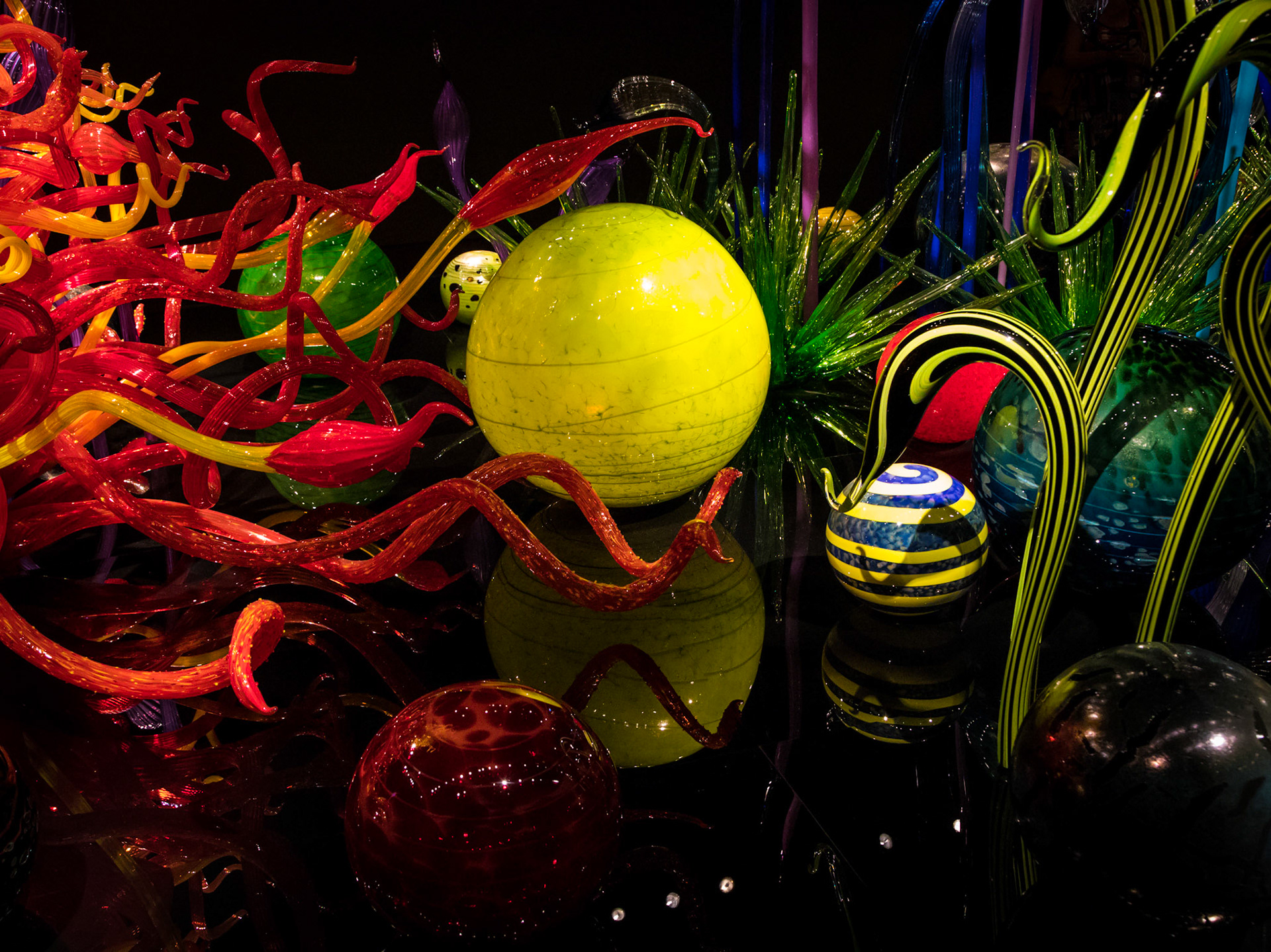 Chihuly Garden & Glass